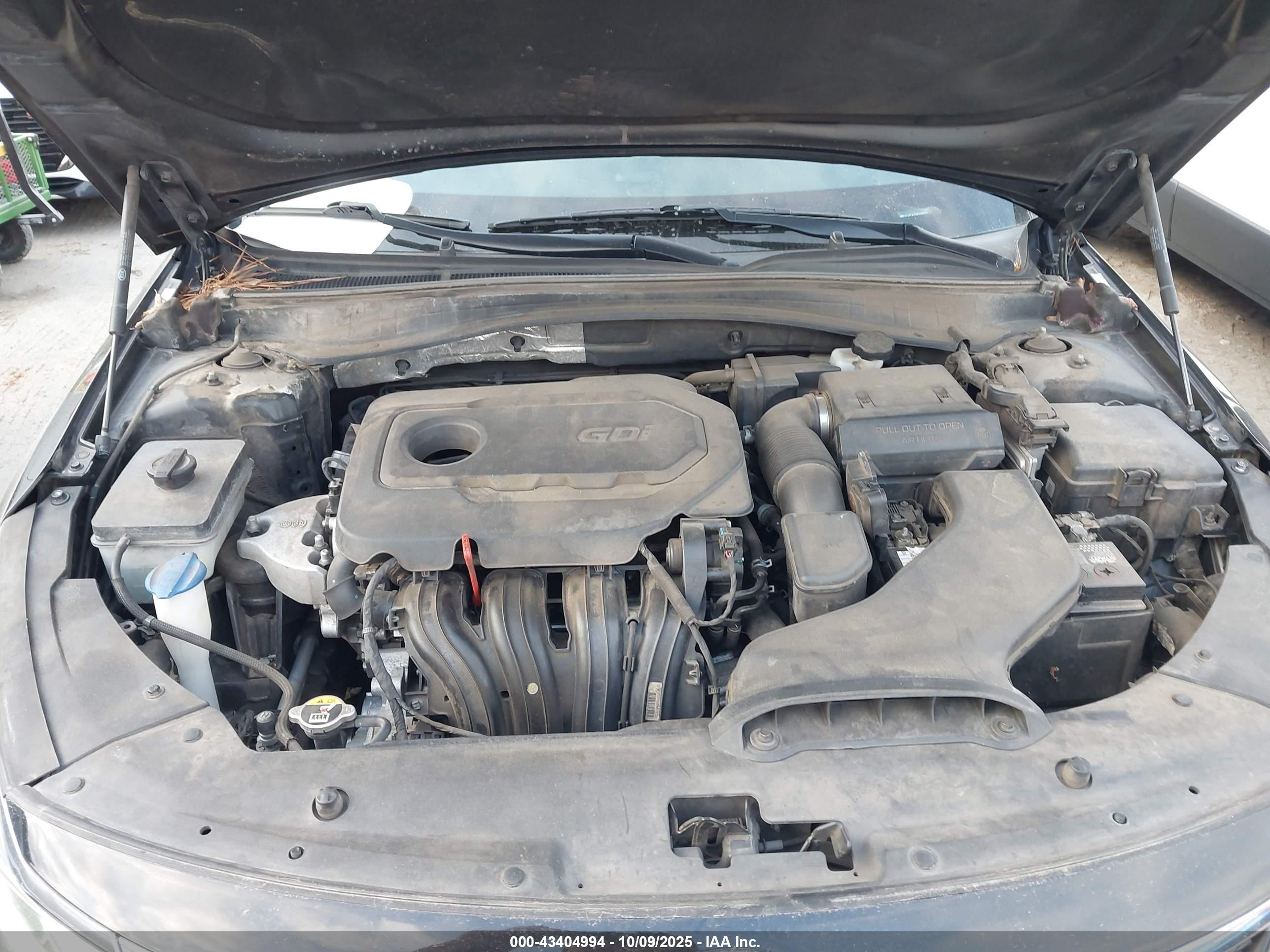 KIA OPTIMA image 10