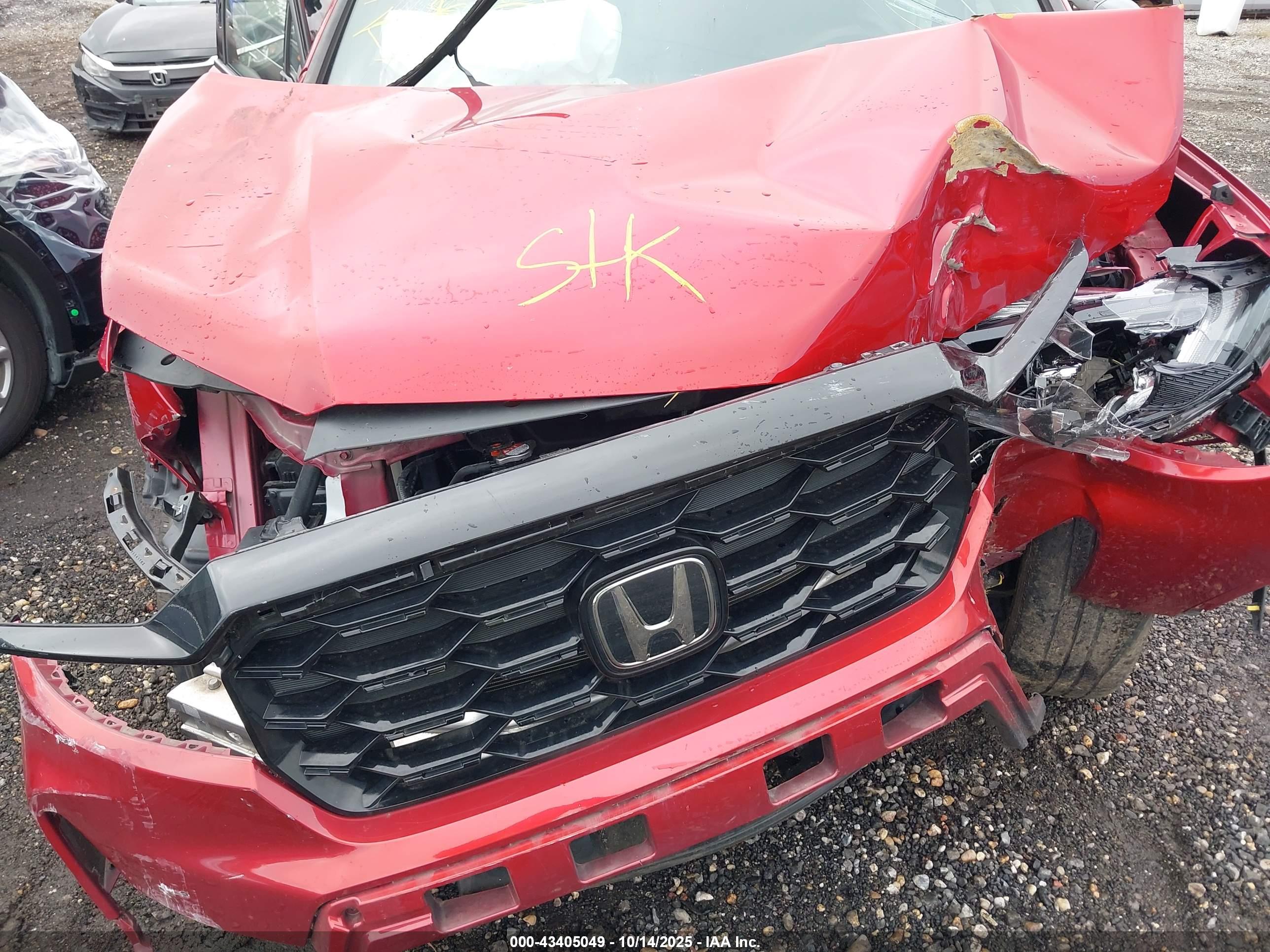 HONDA PASSPORT image 10