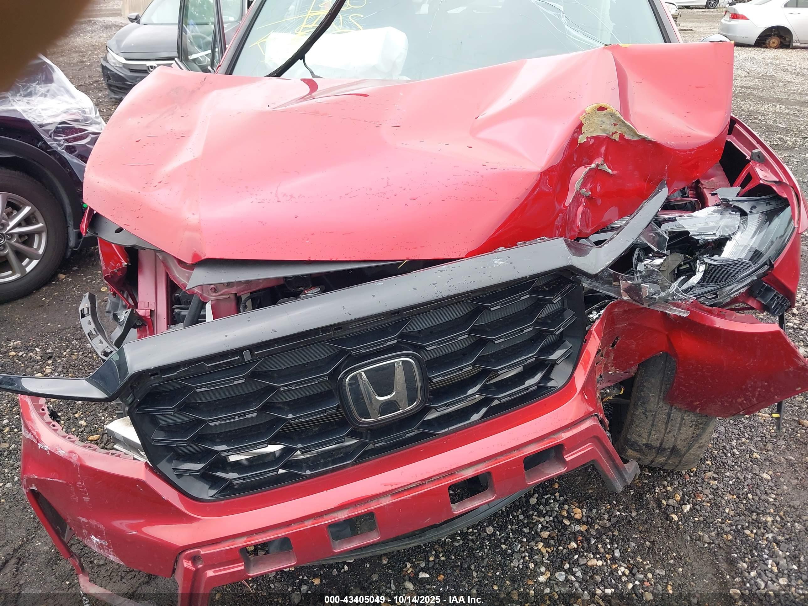 HONDA PASSPORT image 6