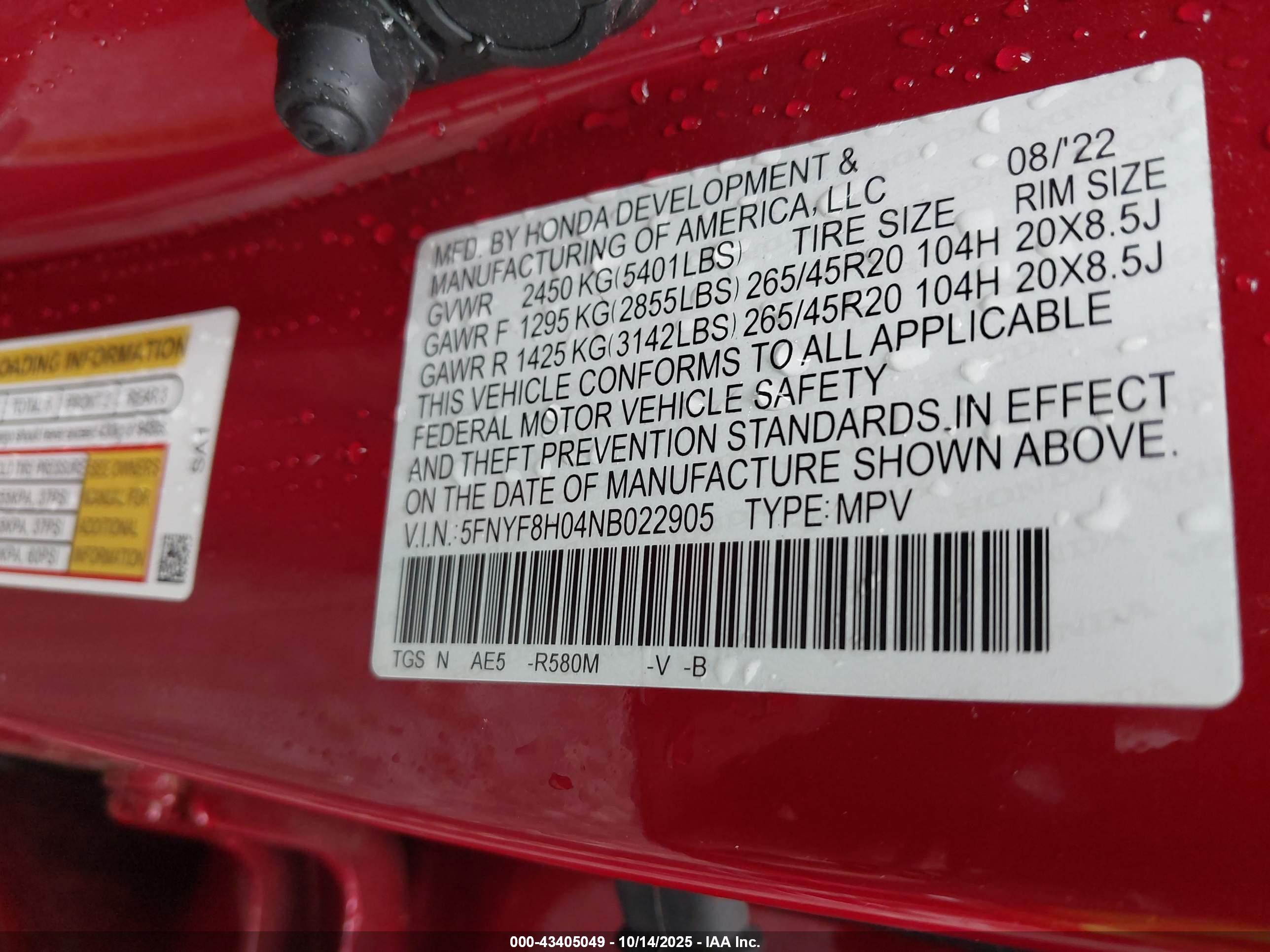 HONDA PASSPORT image 9