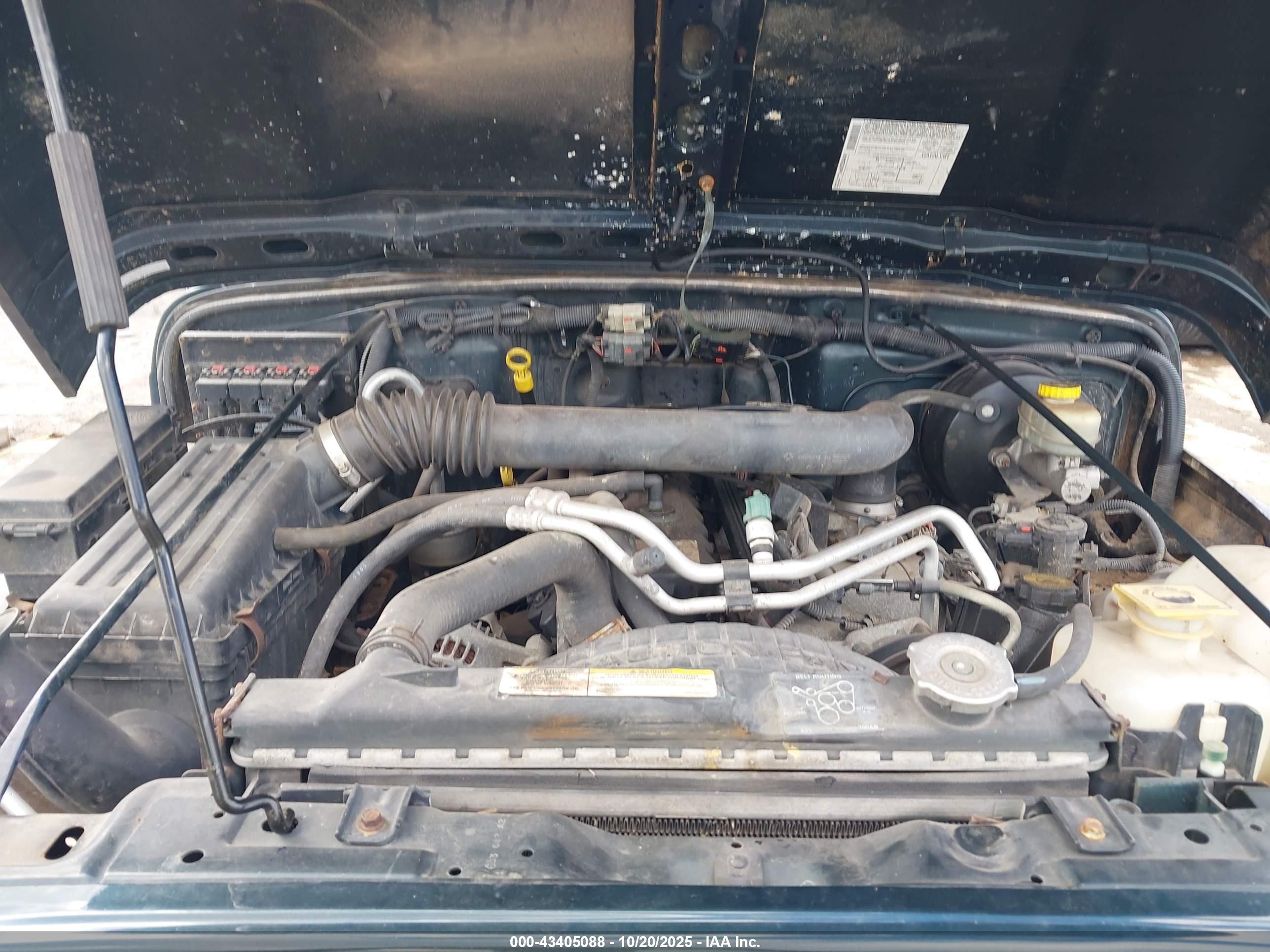 JEEP WRANGLER image 10