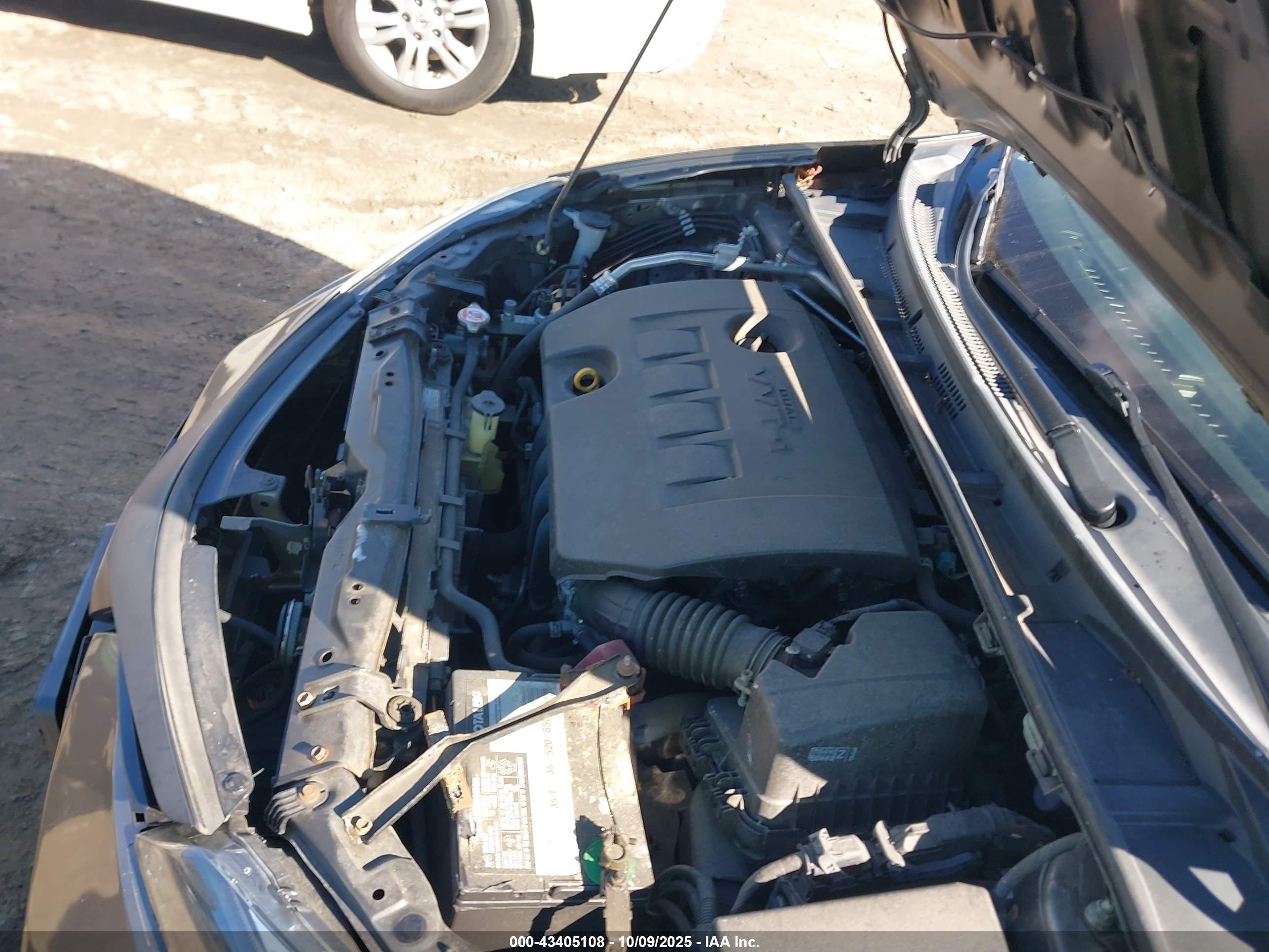 TOYOTA COROLLA image 10