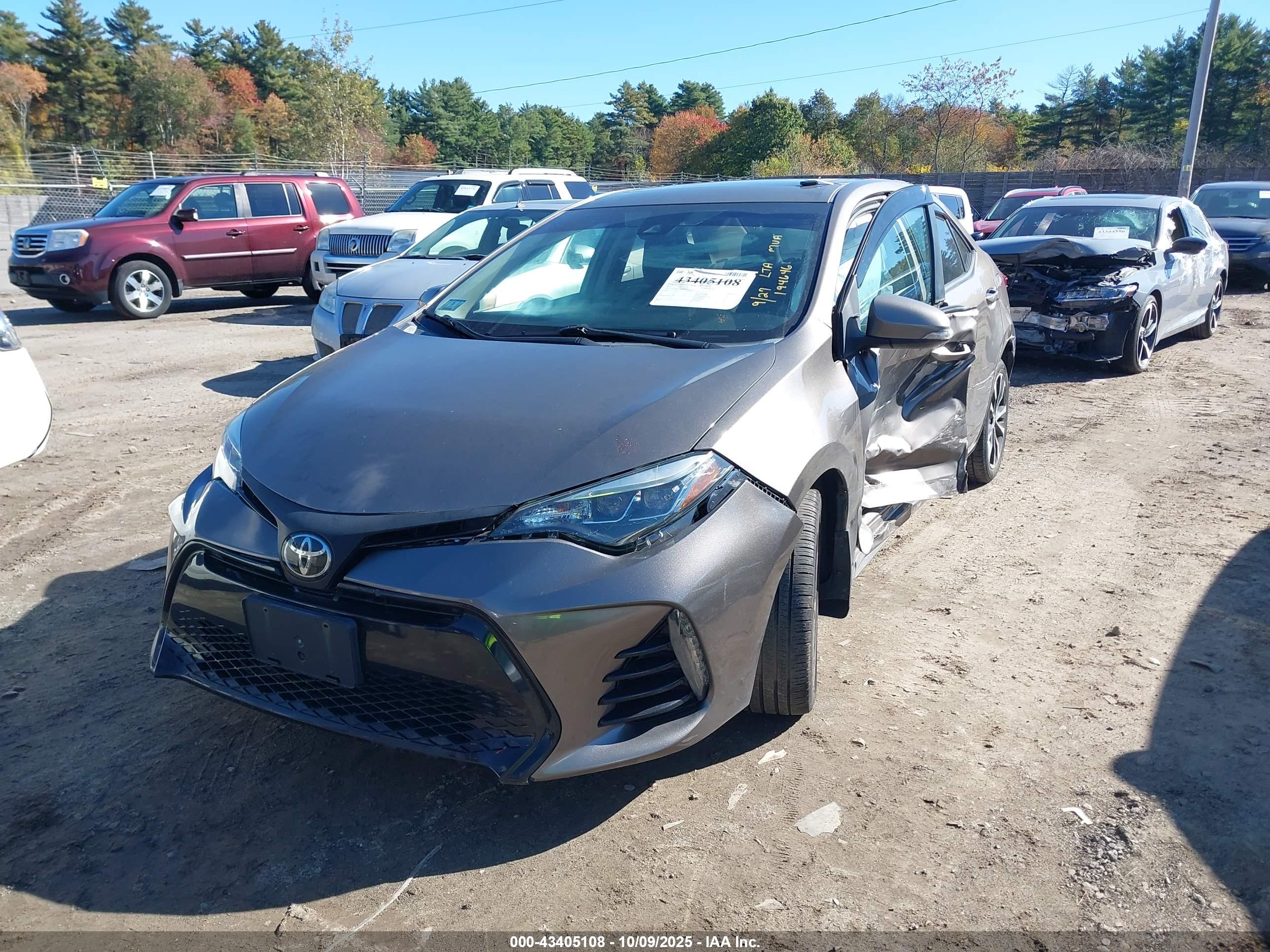 TOYOTA COROLLA image 2