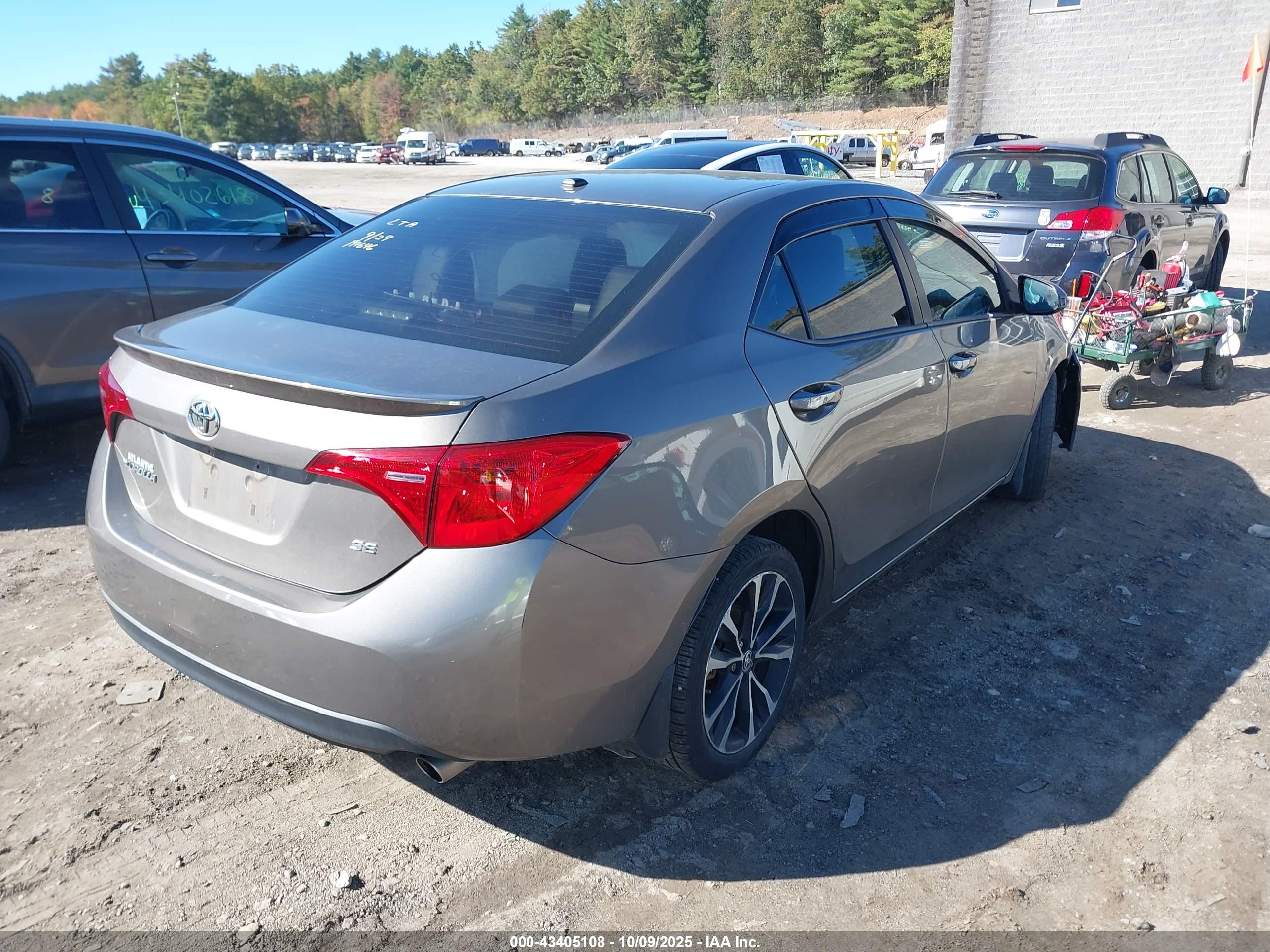 TOYOTA COROLLA image 4