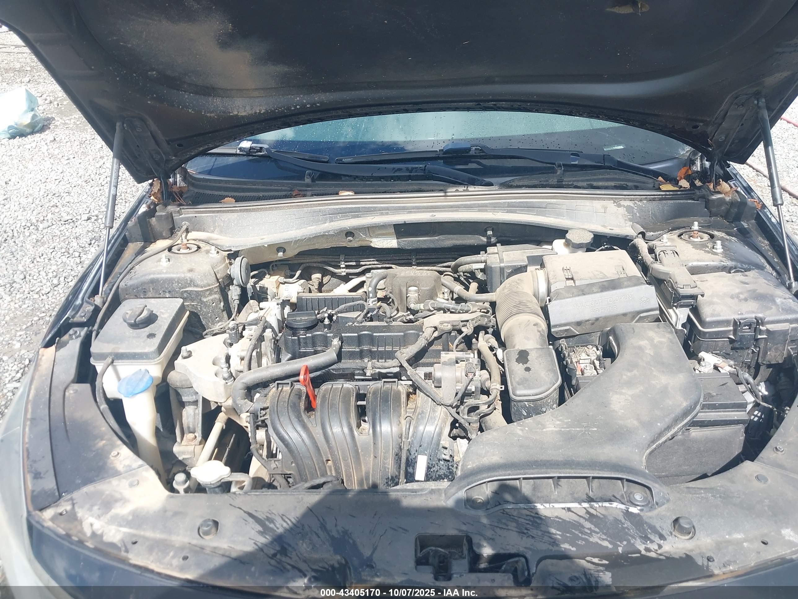 KIA OPTIMA image 10