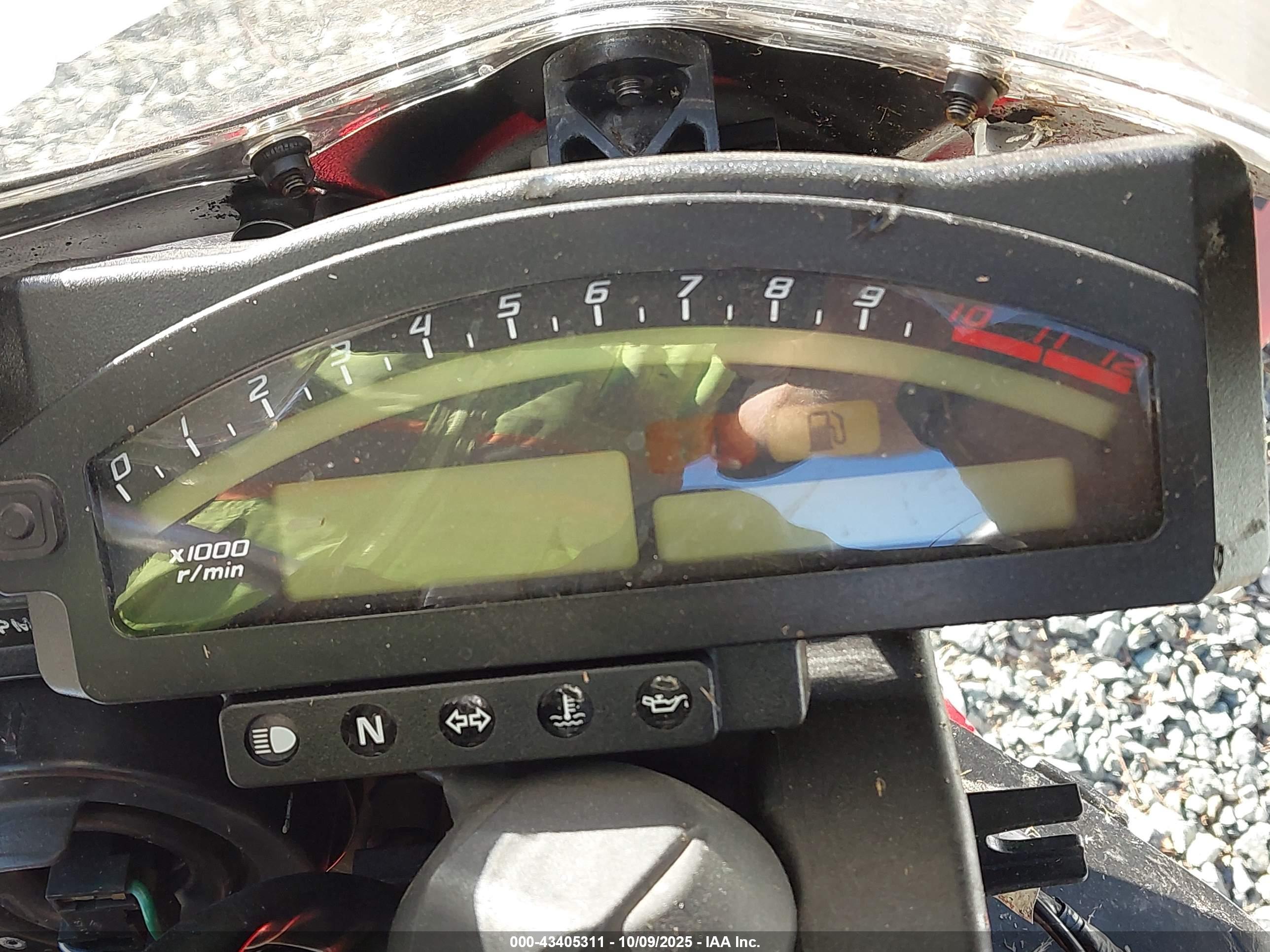 HONDA RVT1000 image 7
