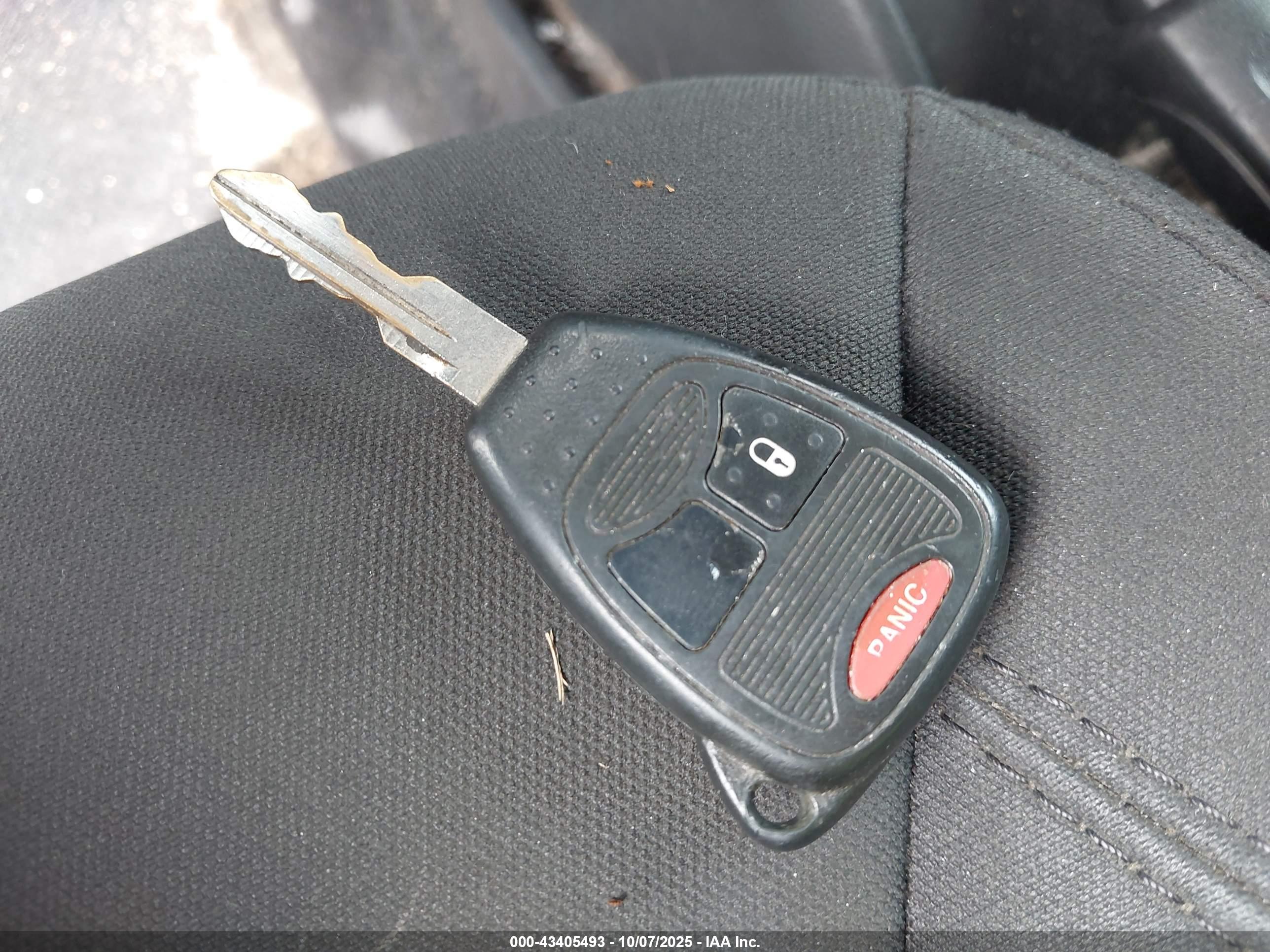 JEEP WRANGLER image 11