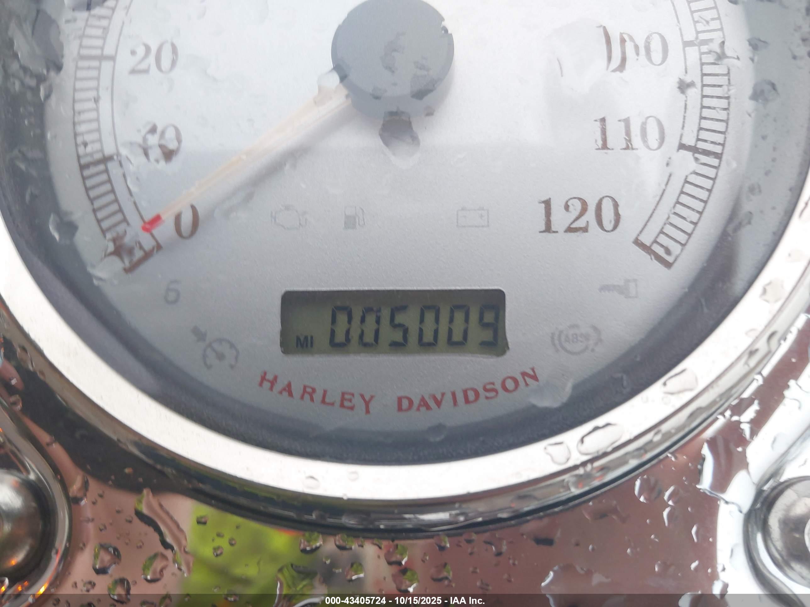 HARLEY-DAVIDSON FXDWG image 7