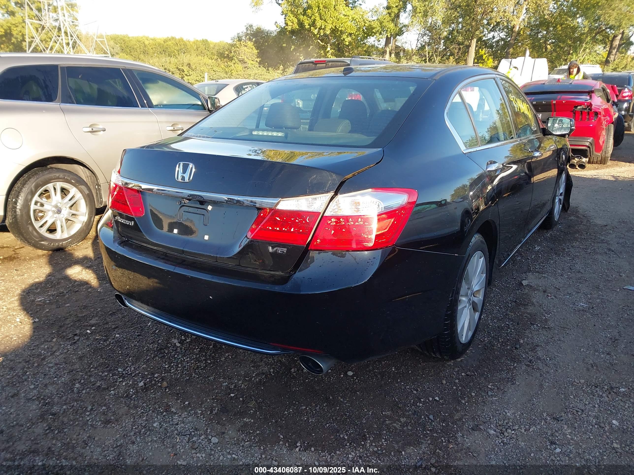 HONDA ACCORD image 4