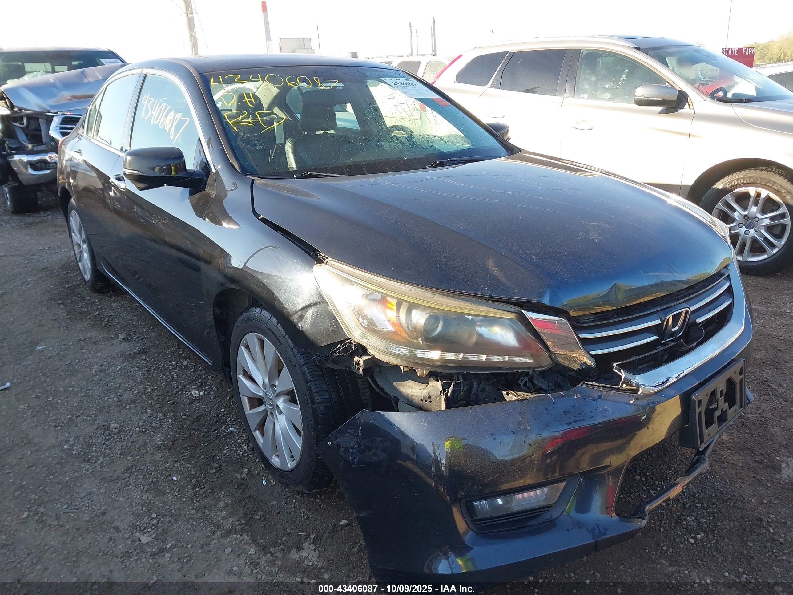 HONDA ACCORD image 6