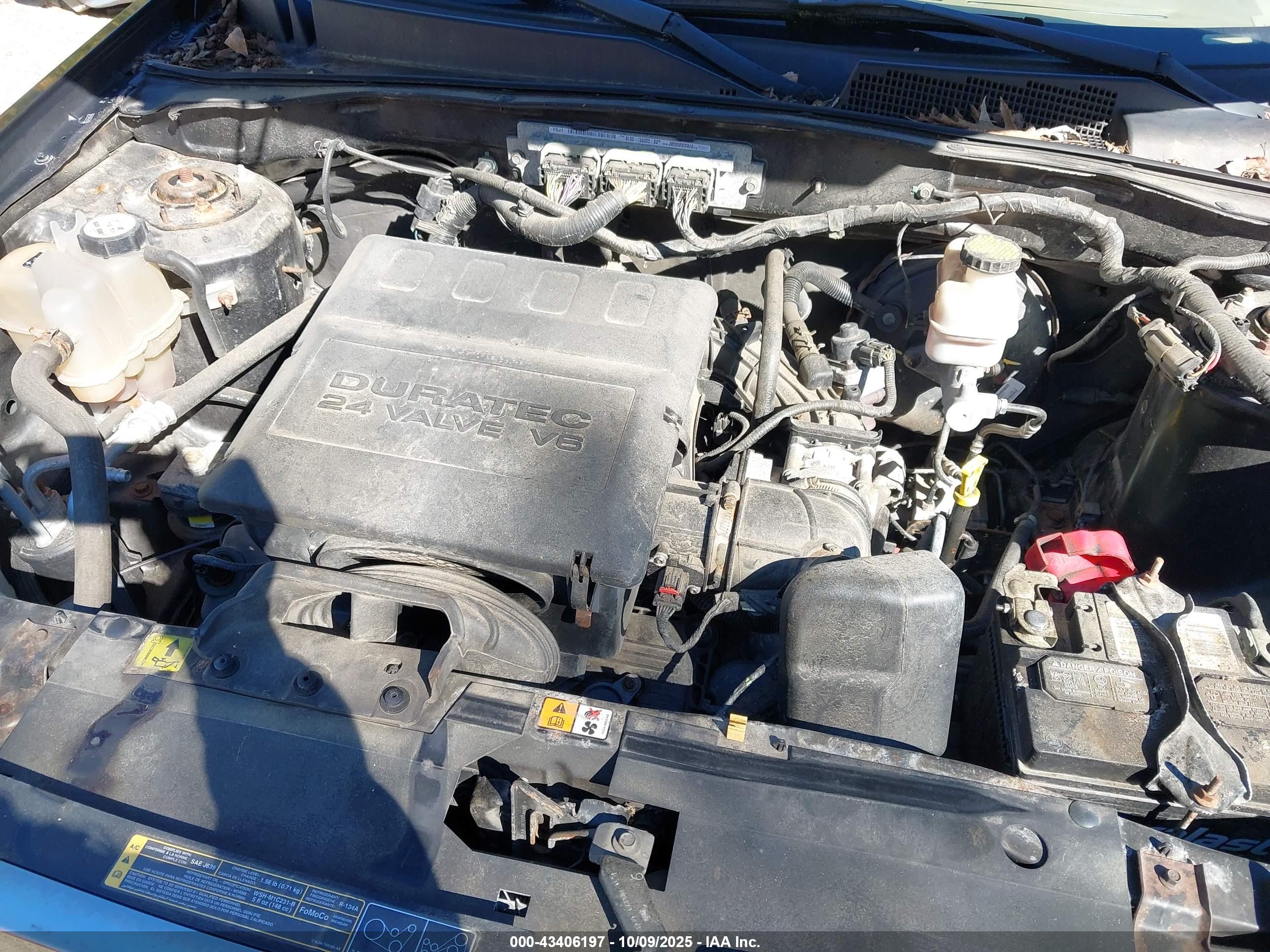 FORD ESCAPE image 10
