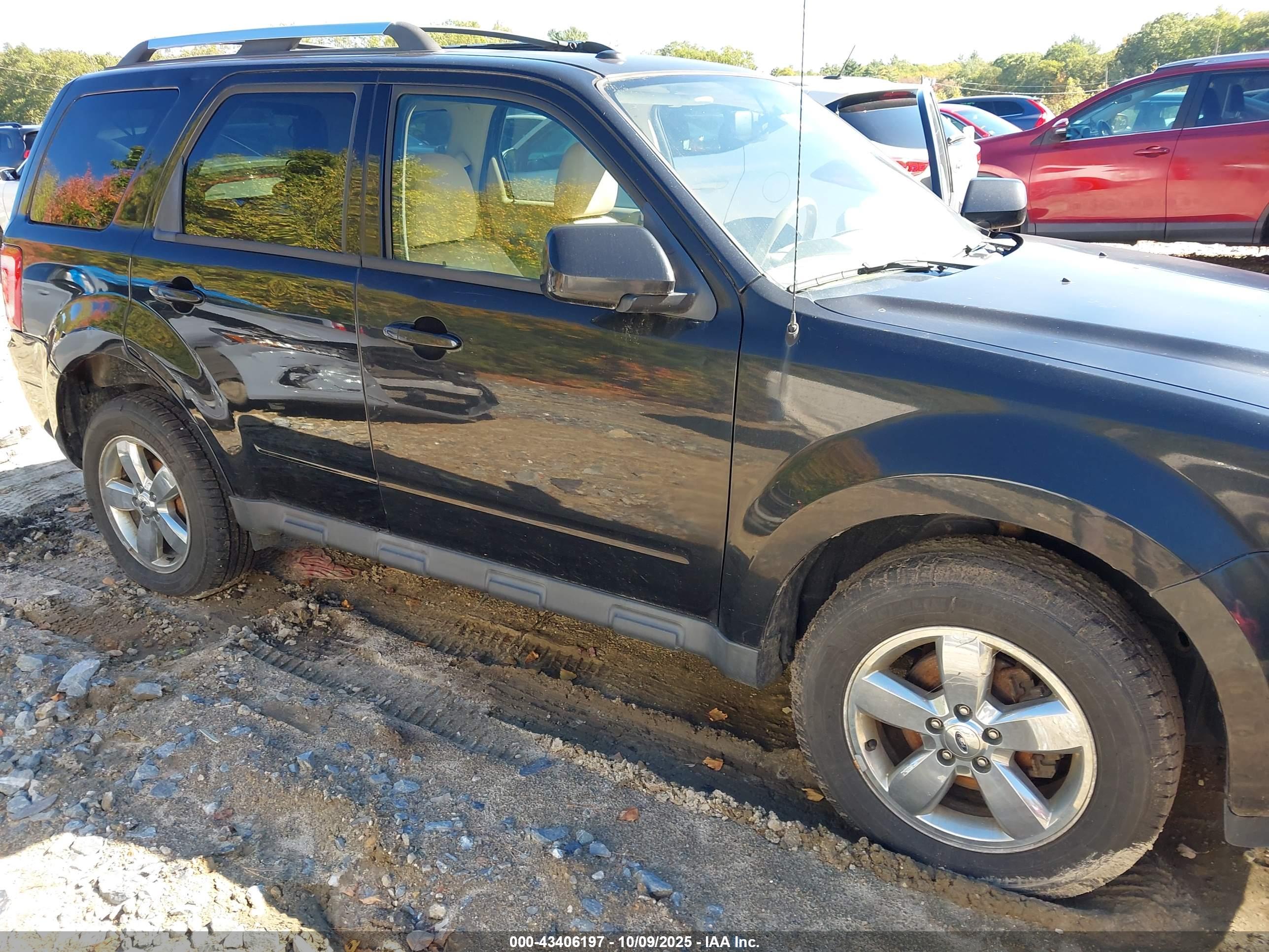 FORD ESCAPE image 6