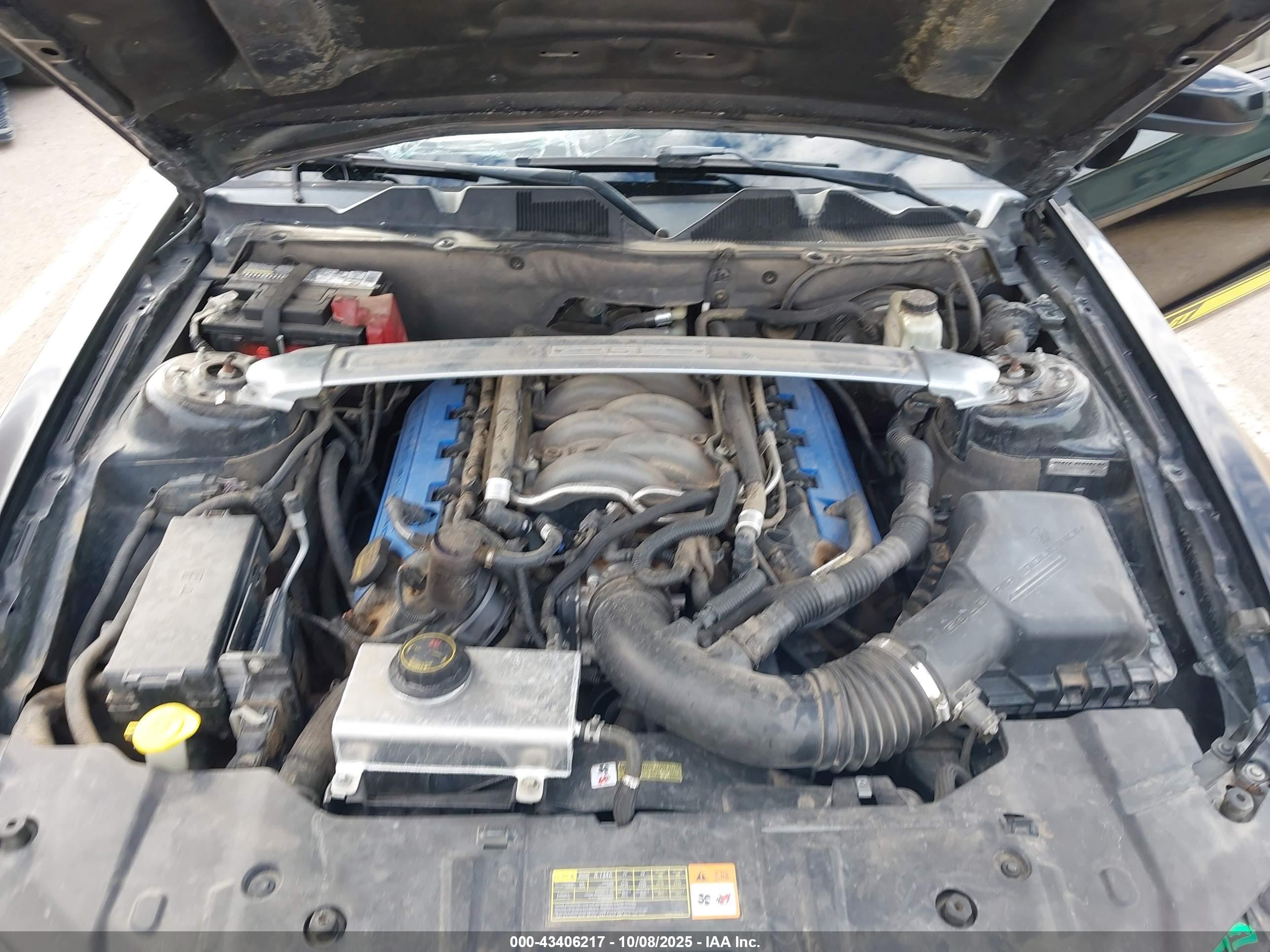 FORD MUSTANG image 10