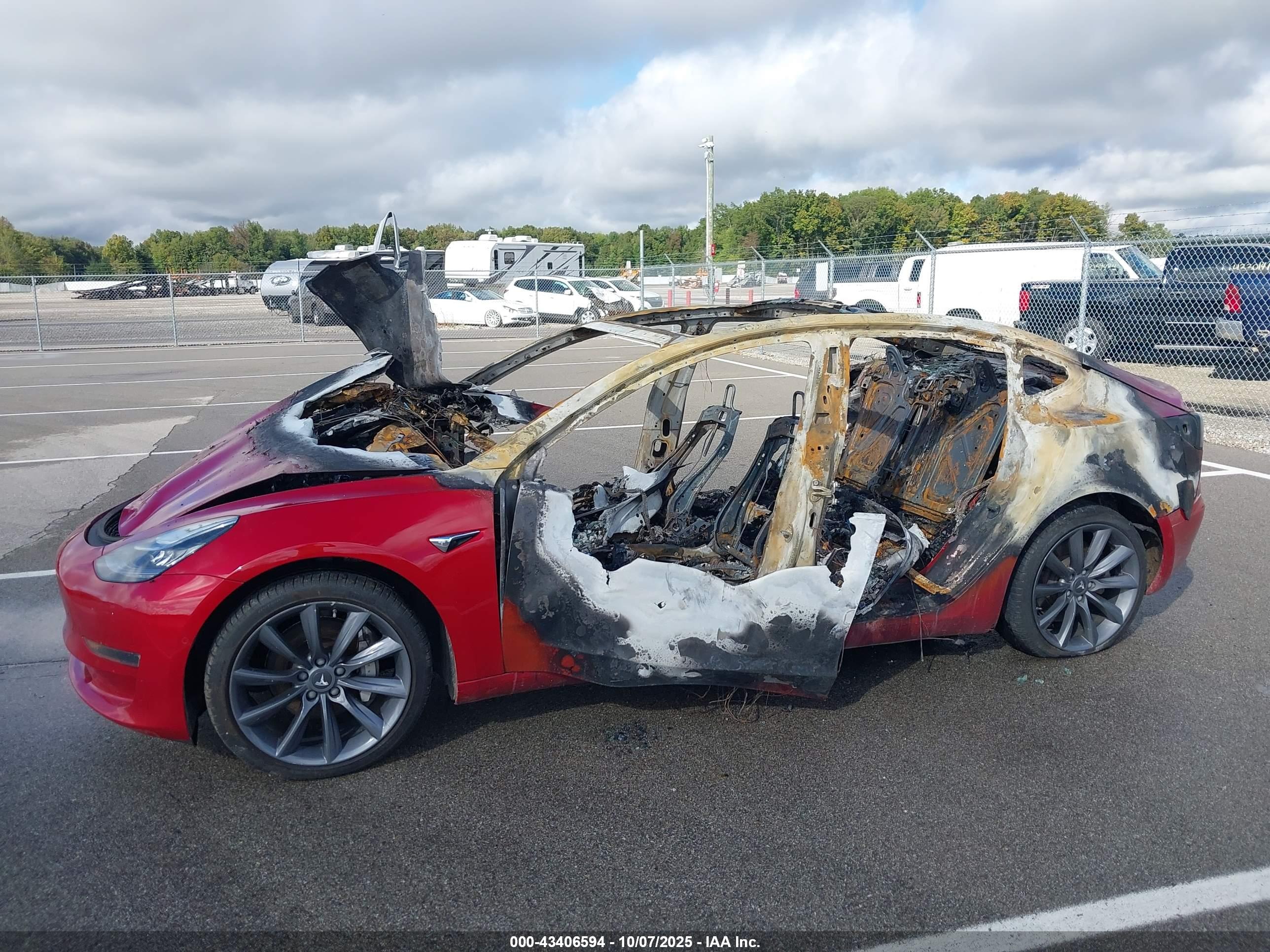 TESLA MODEL image 6