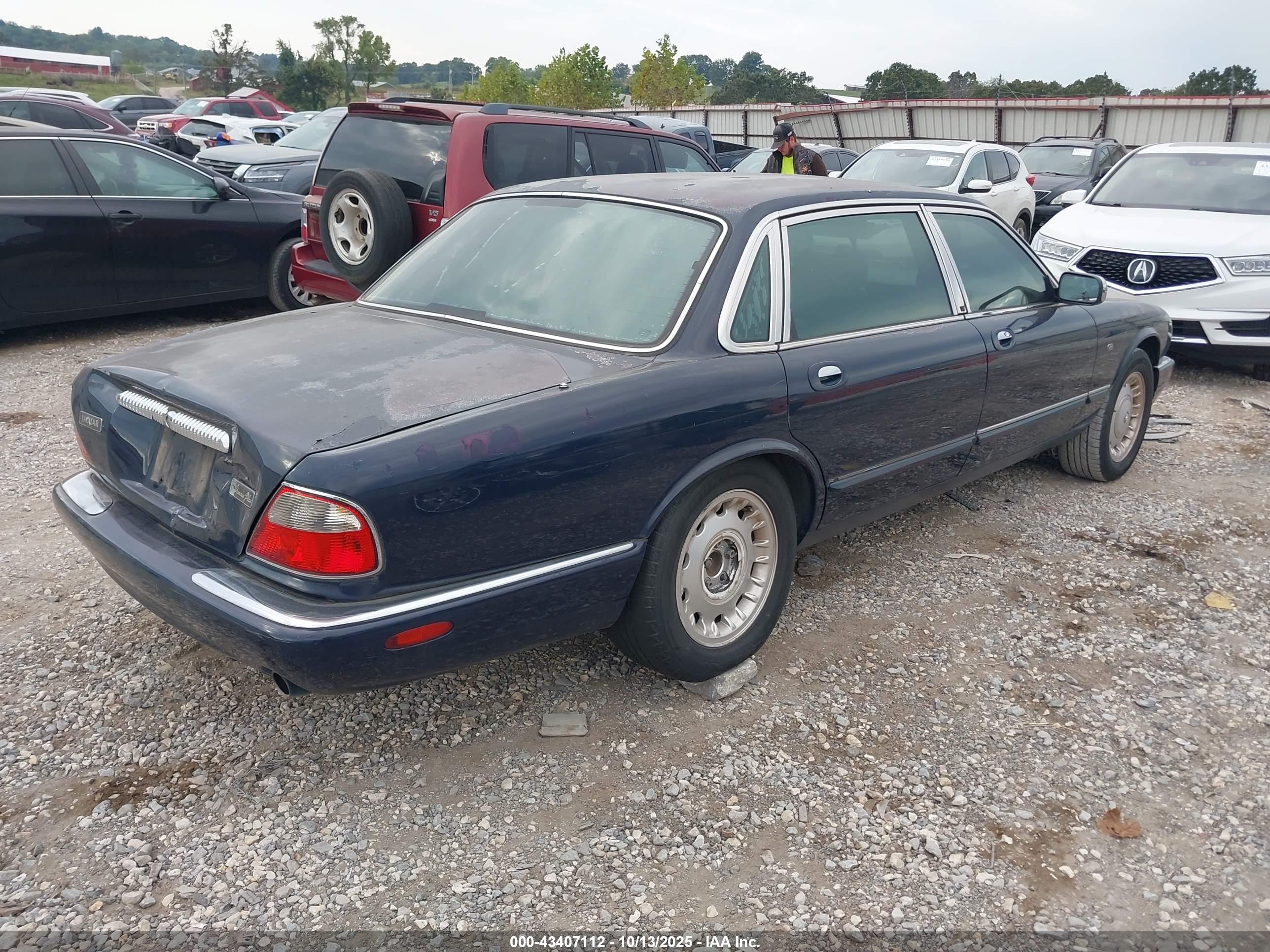 JAGUAR XJ8 image 4