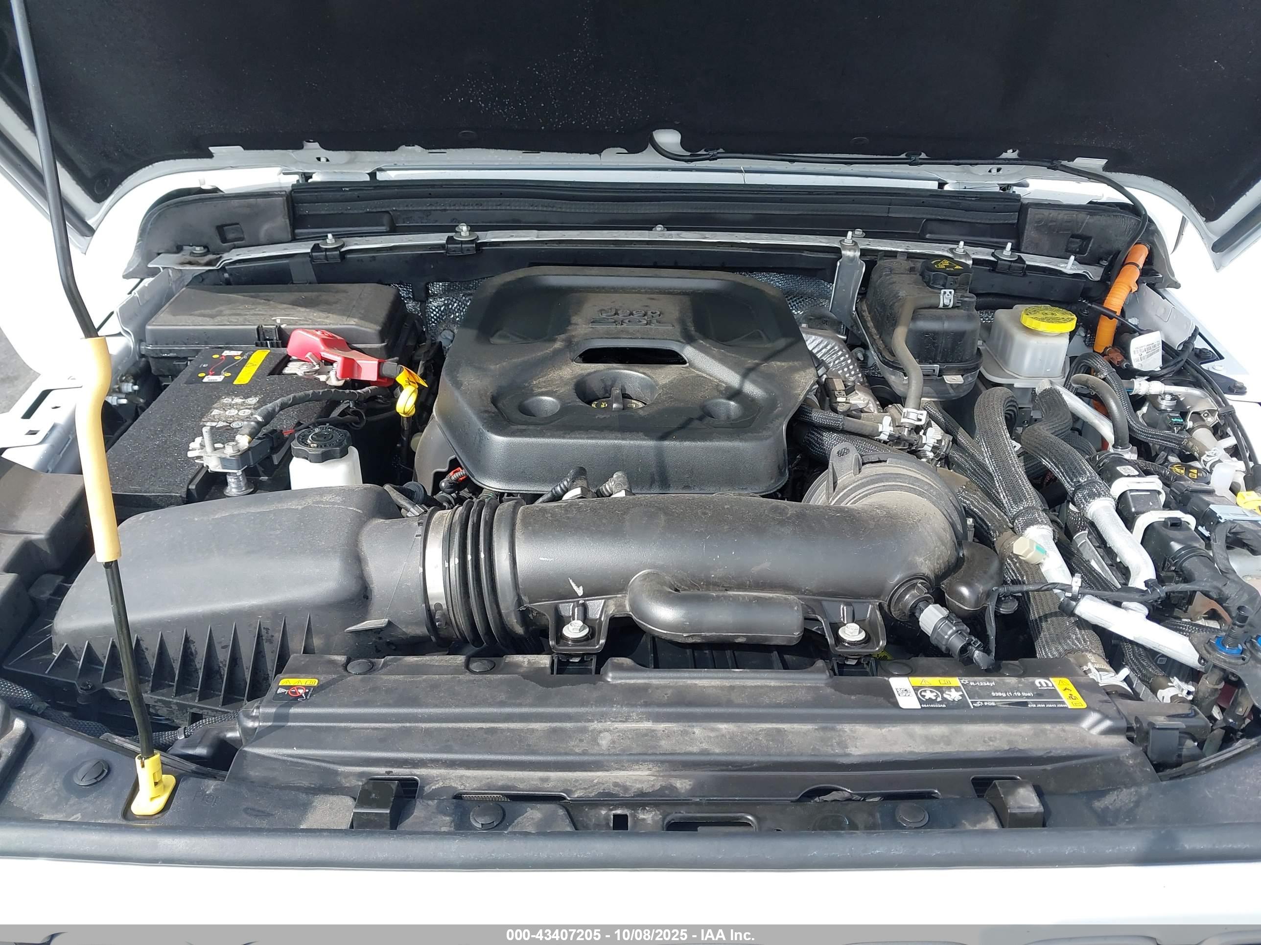 JEEP WRANGLER image 10