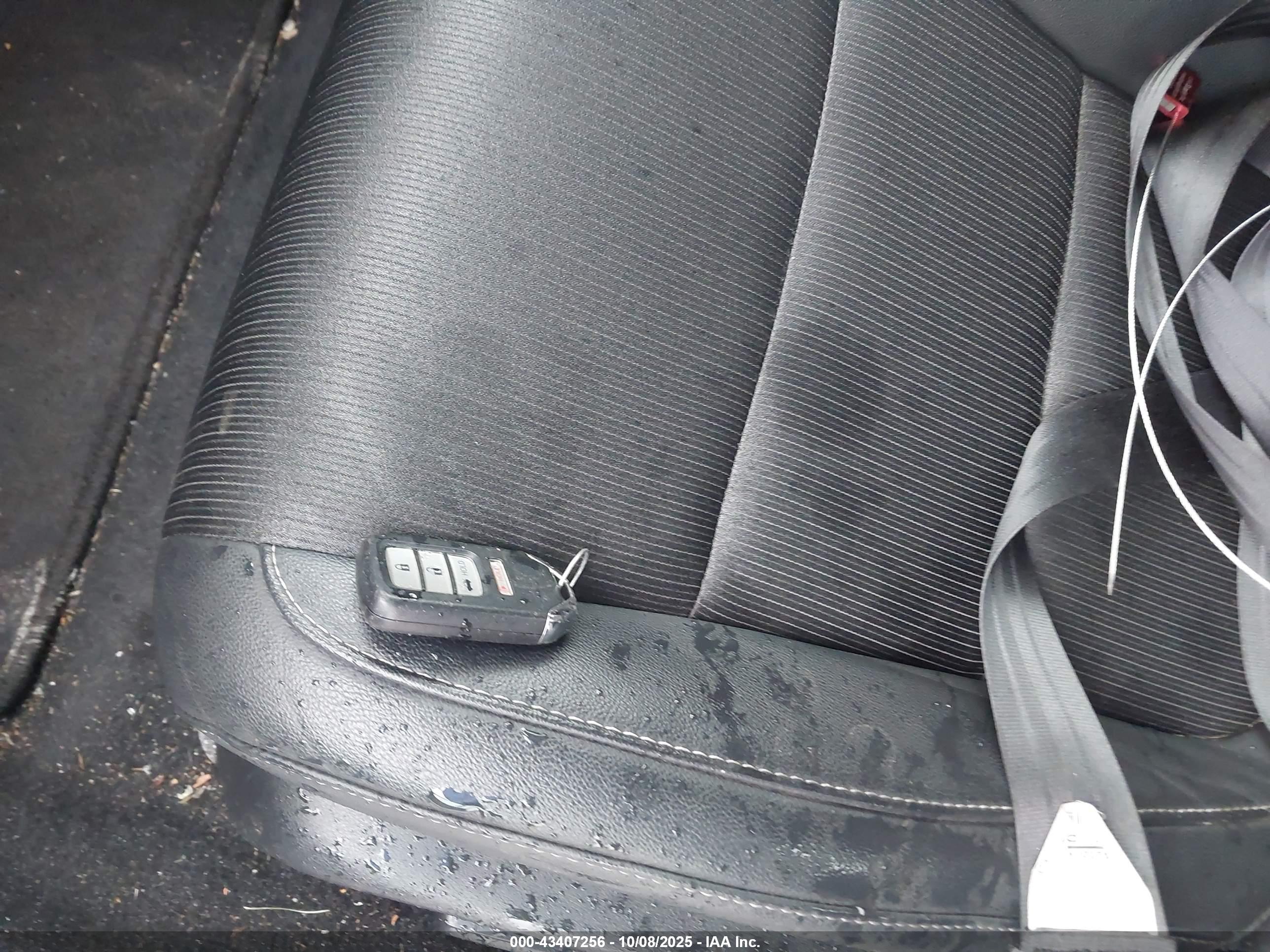 HONDA ACCORD image 11