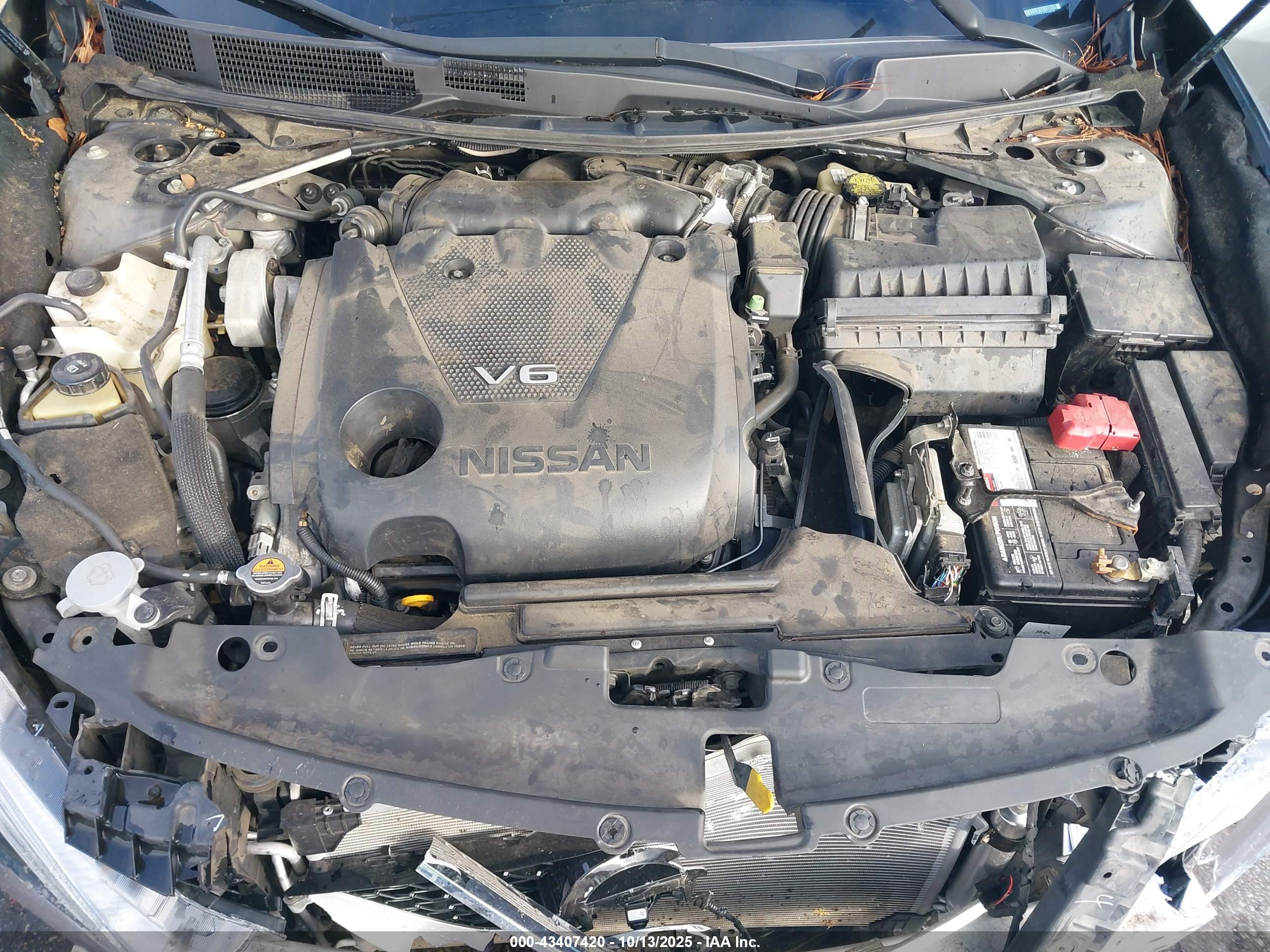 NISSAN MAXIMA image 10