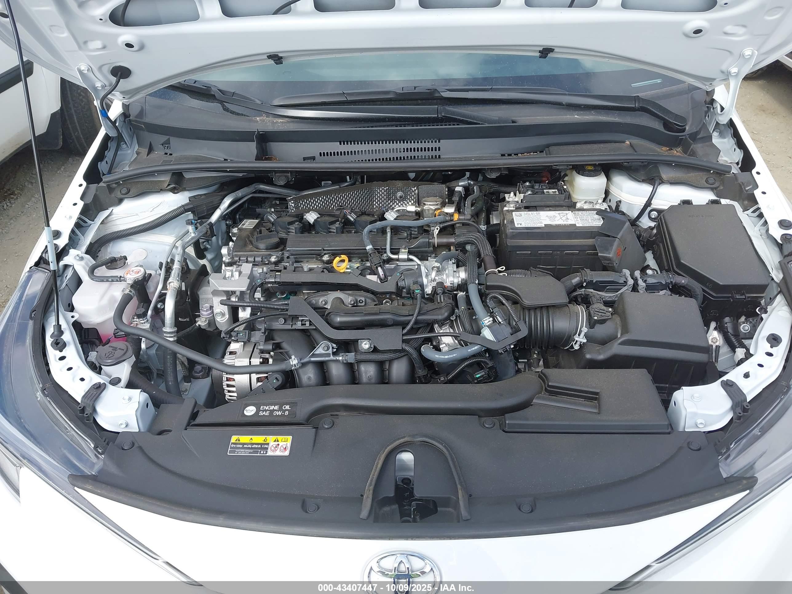 TOYOTA COROLLA image 10