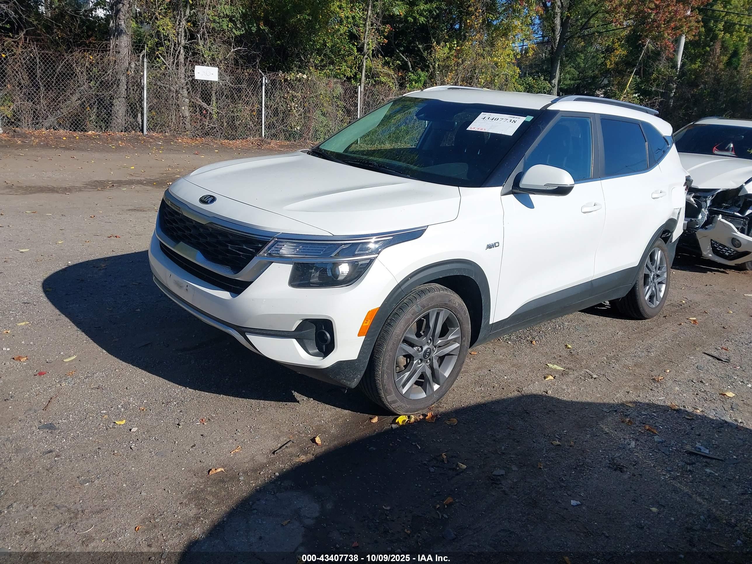 KIA SELTOS image 2