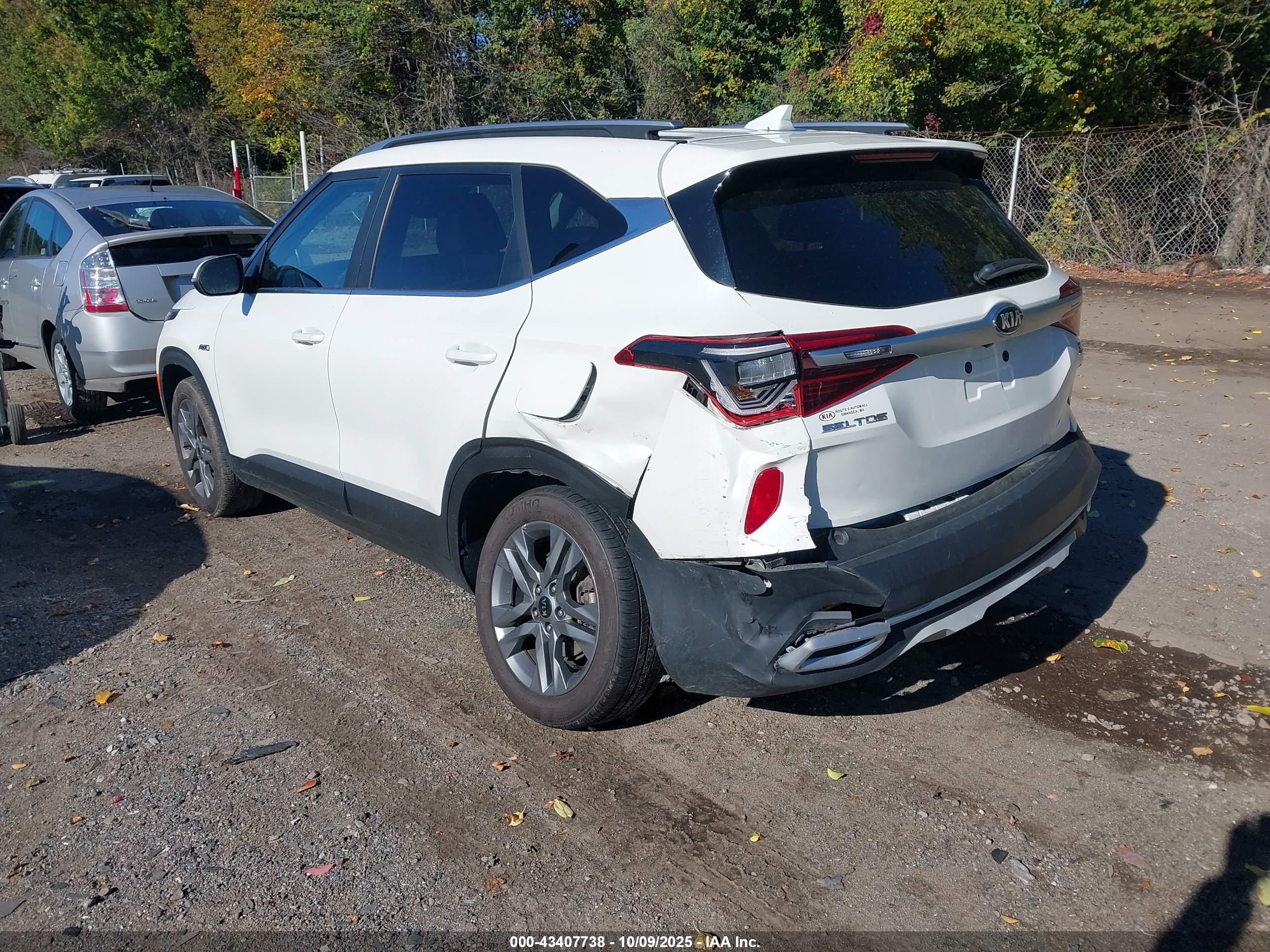 KIA SELTOS image 3