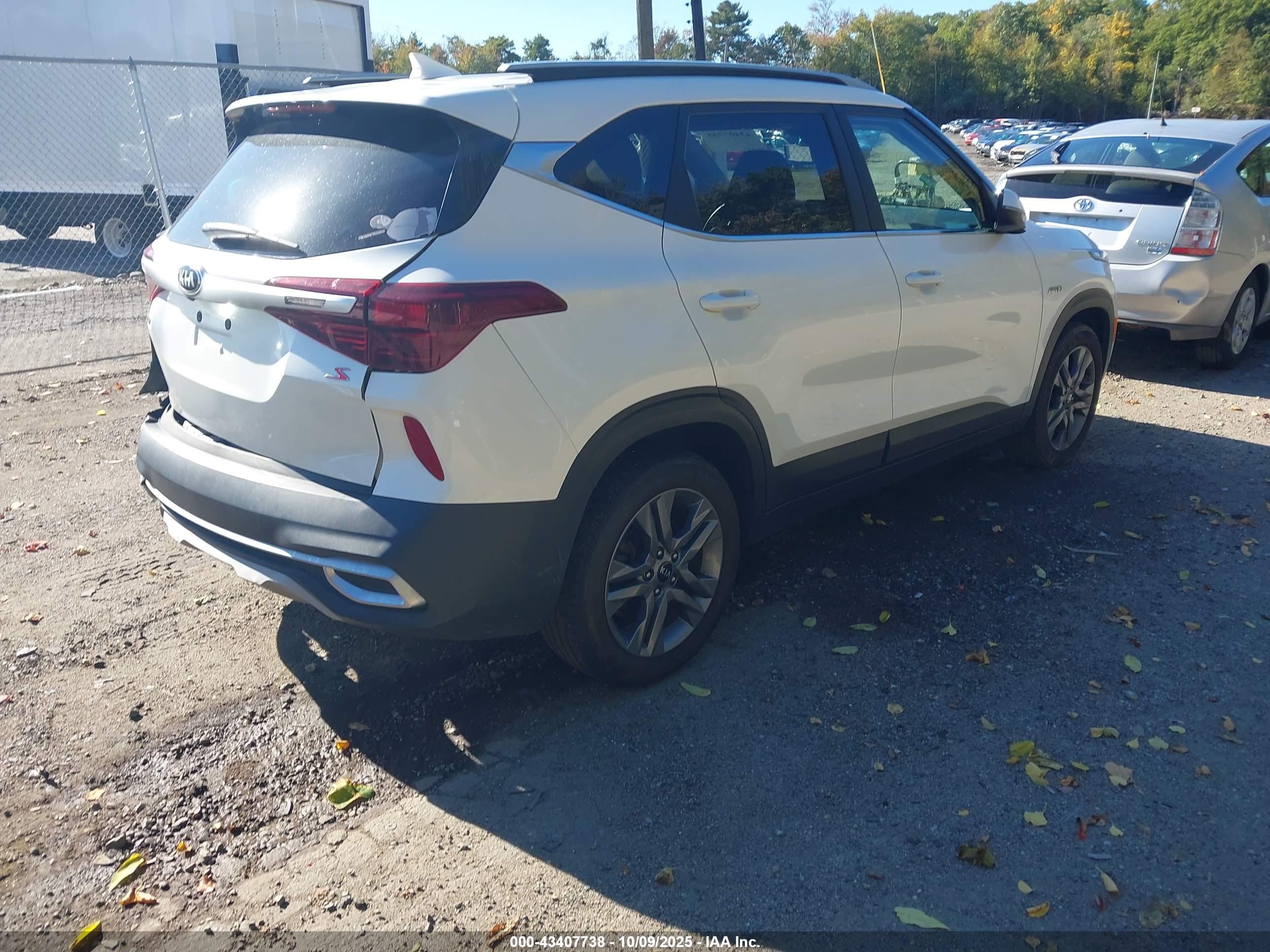 KIA SELTOS image 4