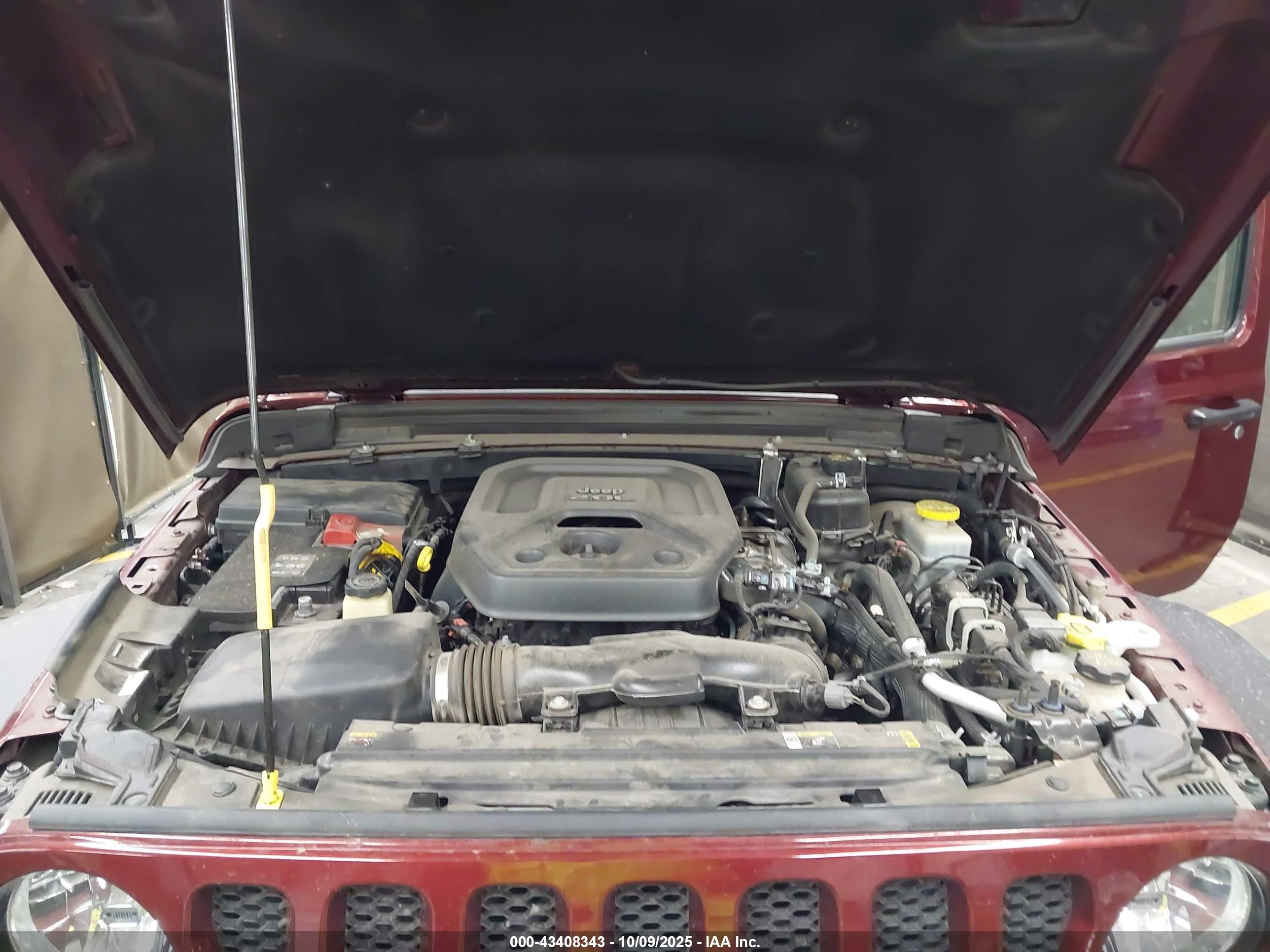 JEEP WRANGLER image 10