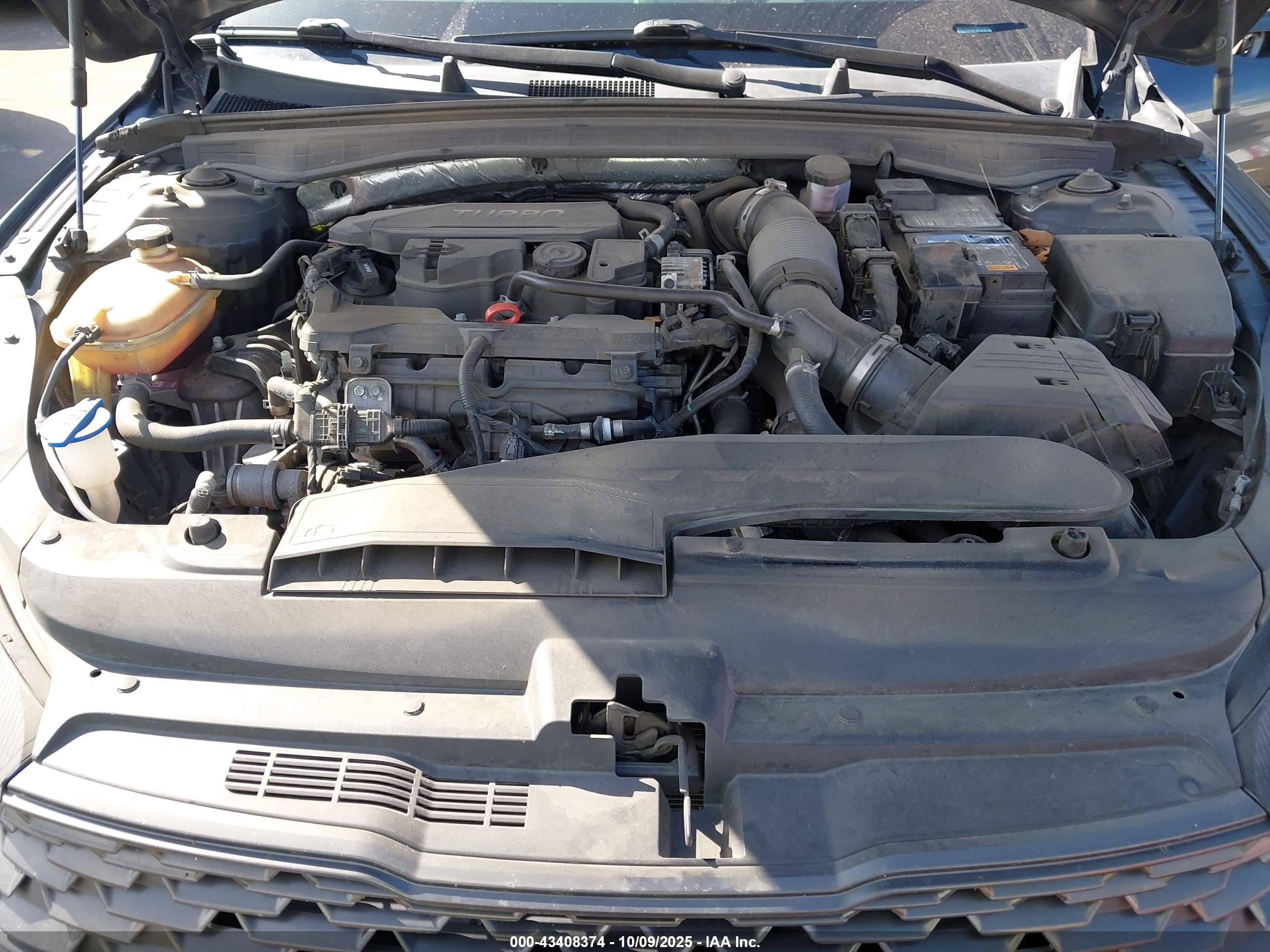 KIA K5 image 10