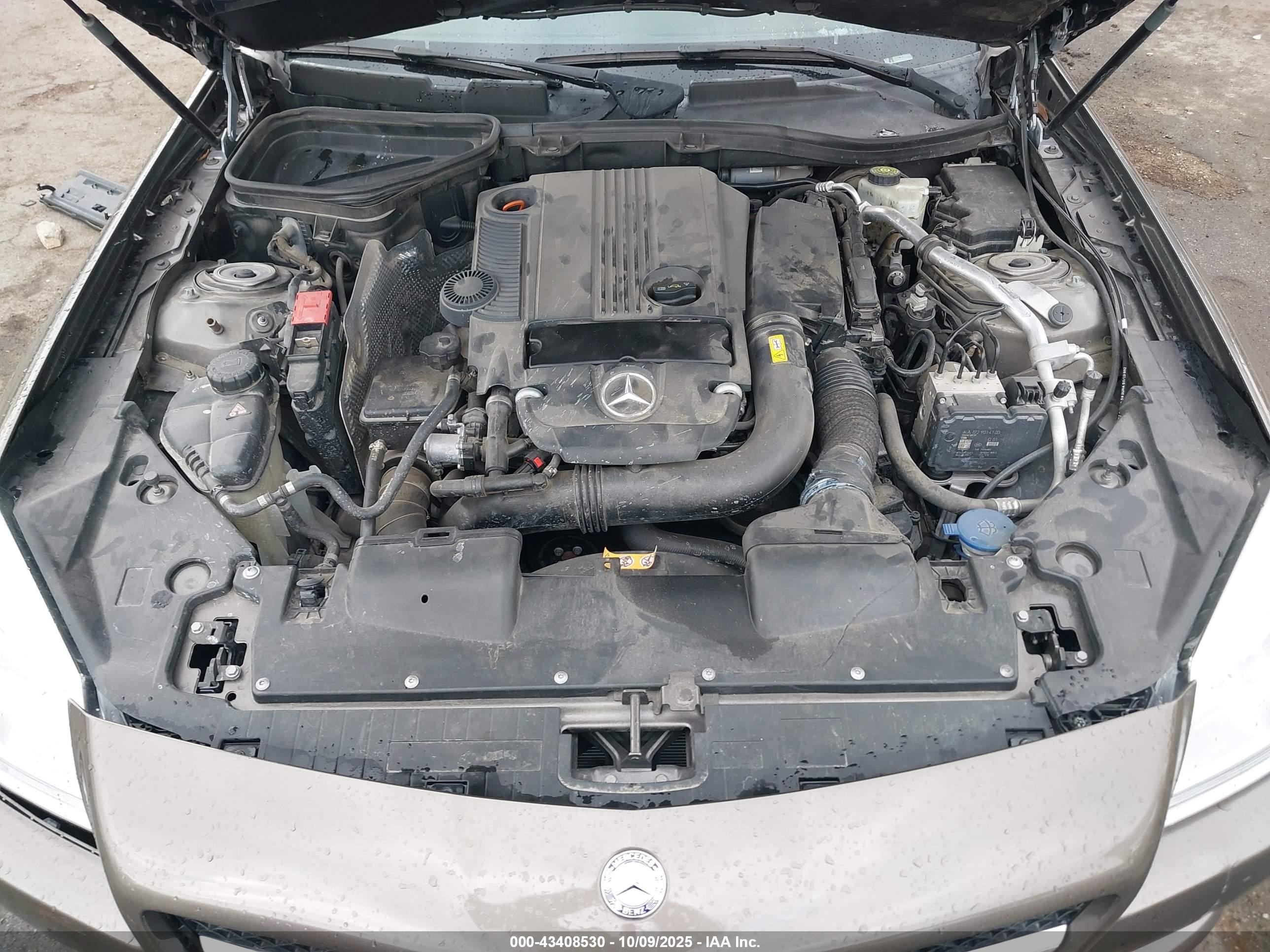 MERCEDES-BENZ SLK image 10