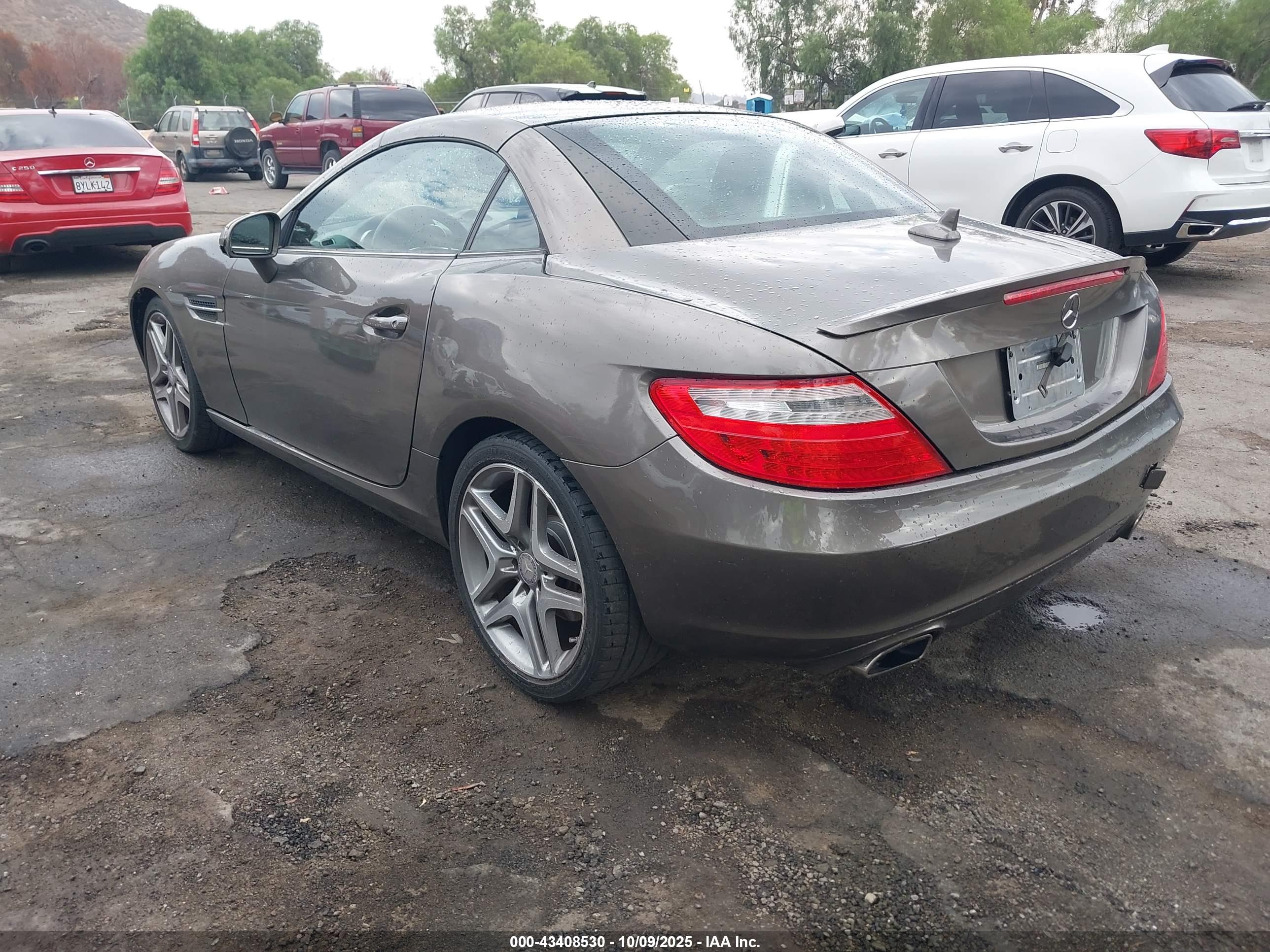 MERCEDES-BENZ SLK image 3
