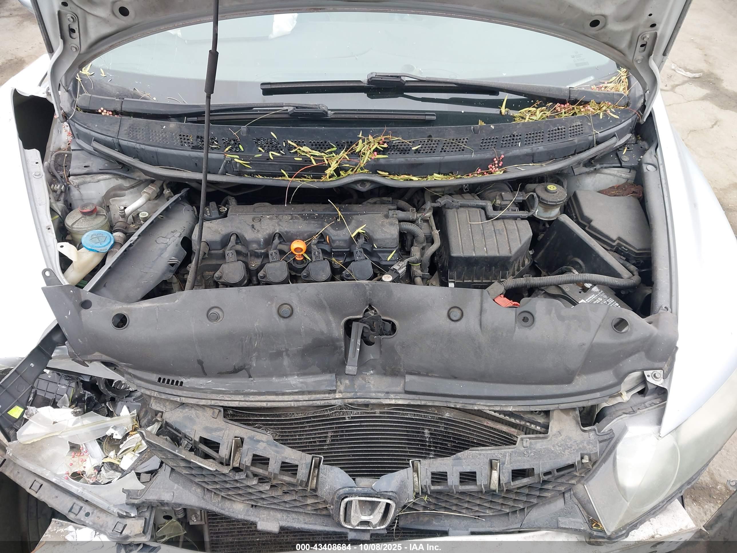 HONDA CIVIC image 10