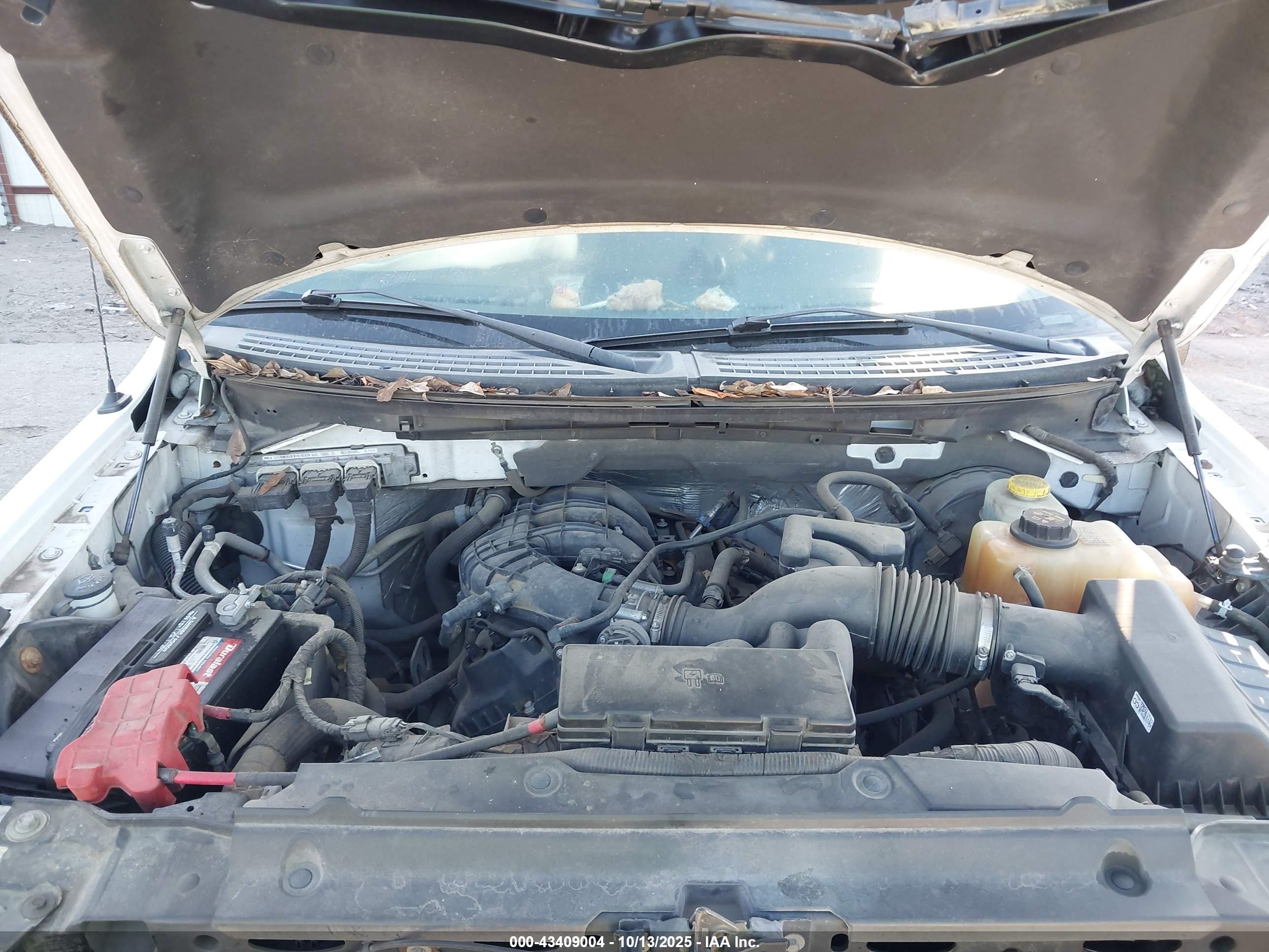 FORD F-150 image 10