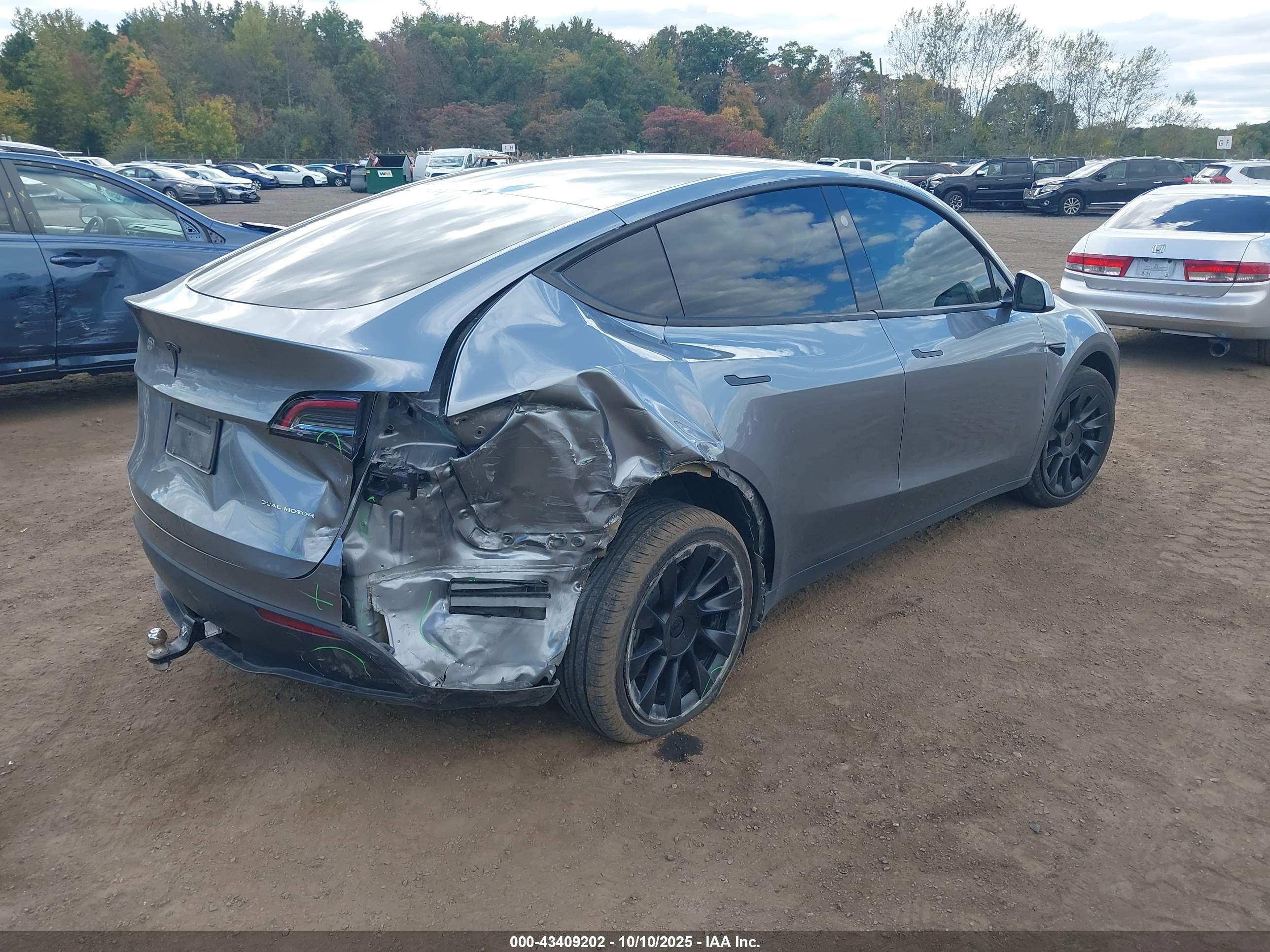 TESLA MODEL image 6