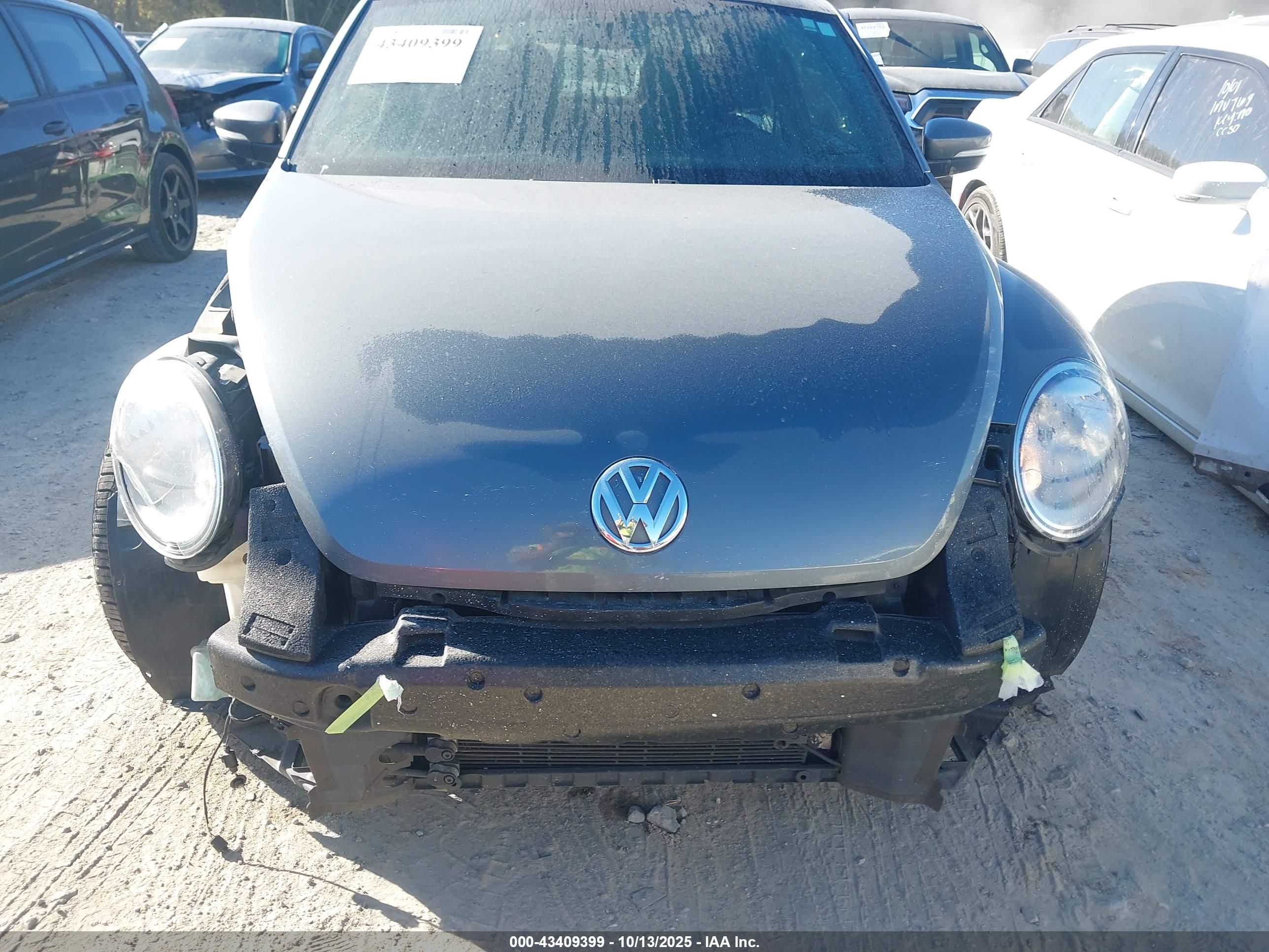 VOLKSWAGEN BEETLE image 6
