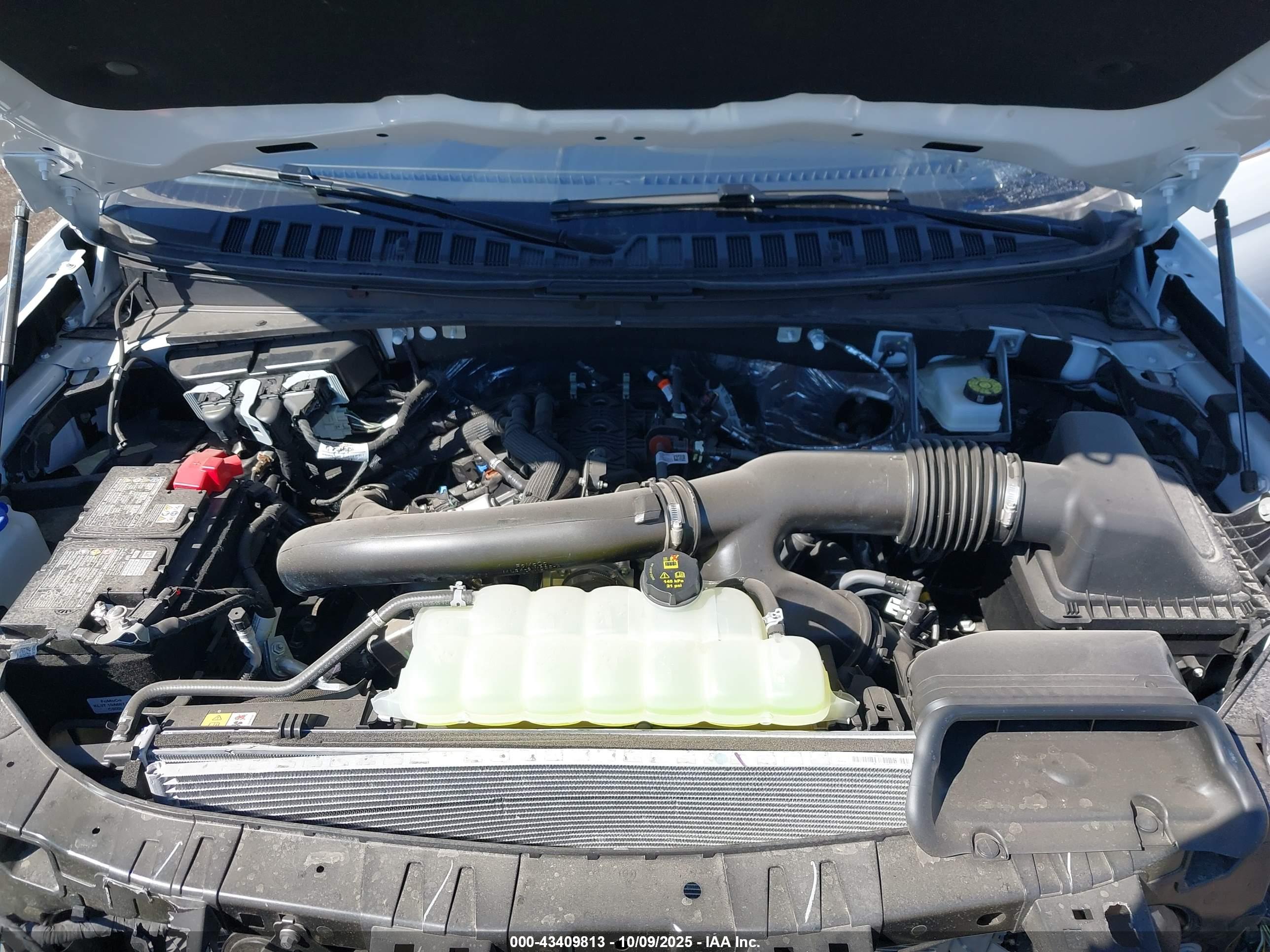 FORD EXPEDITION image 10