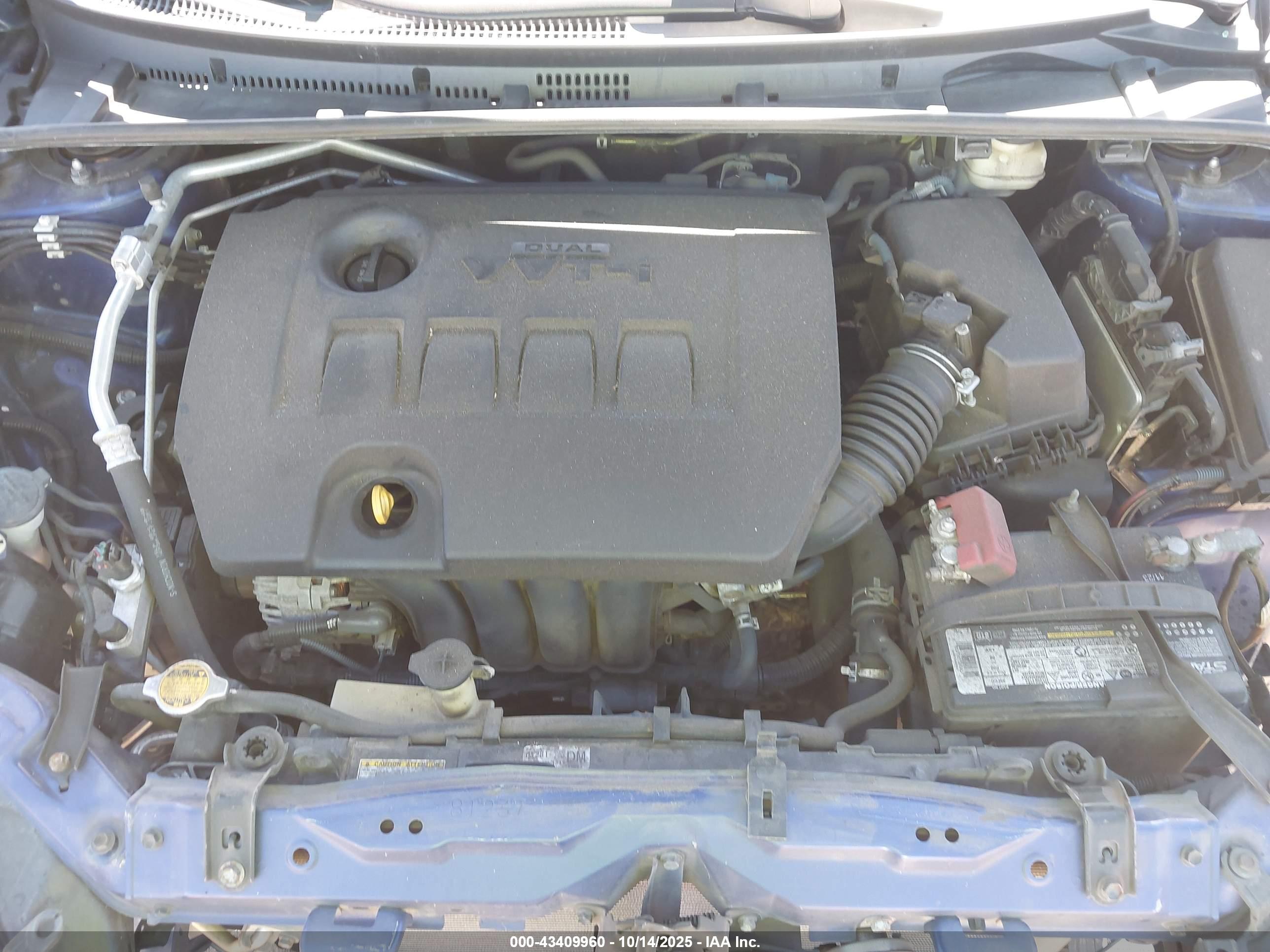 TOYOTA COROLLA image 10