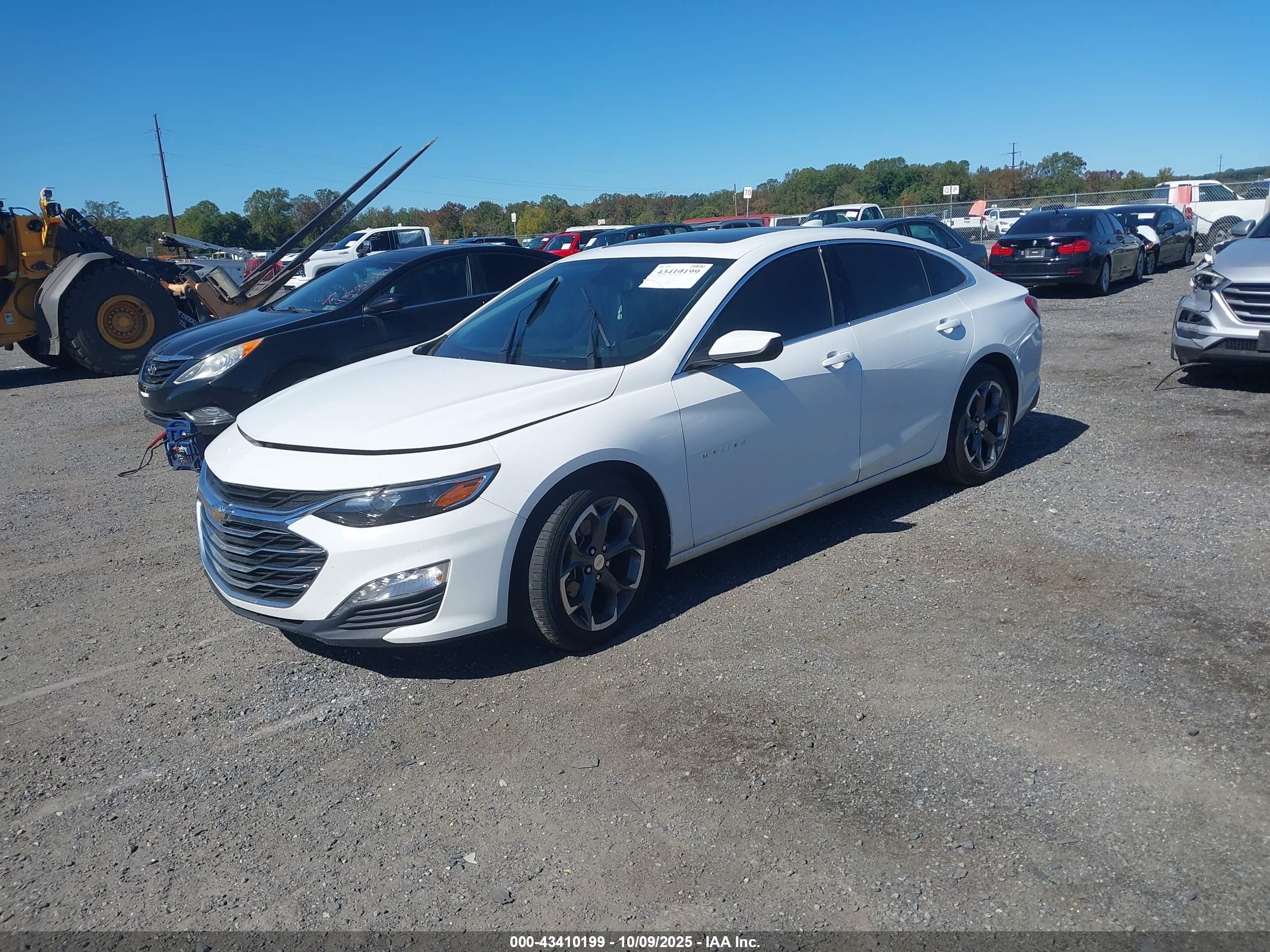 CHEVROLET MALIBU image 2