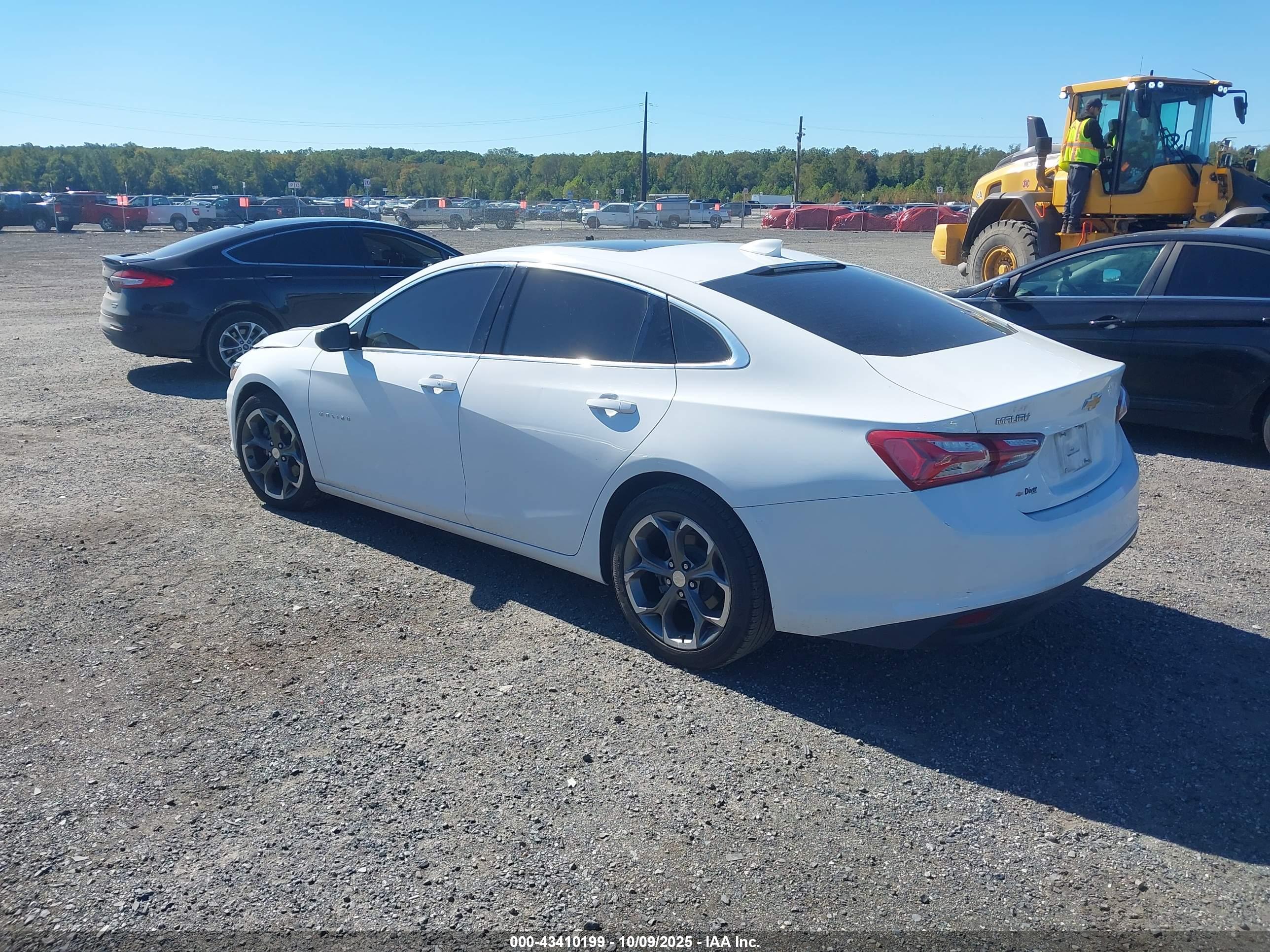 CHEVROLET MALIBU image 3