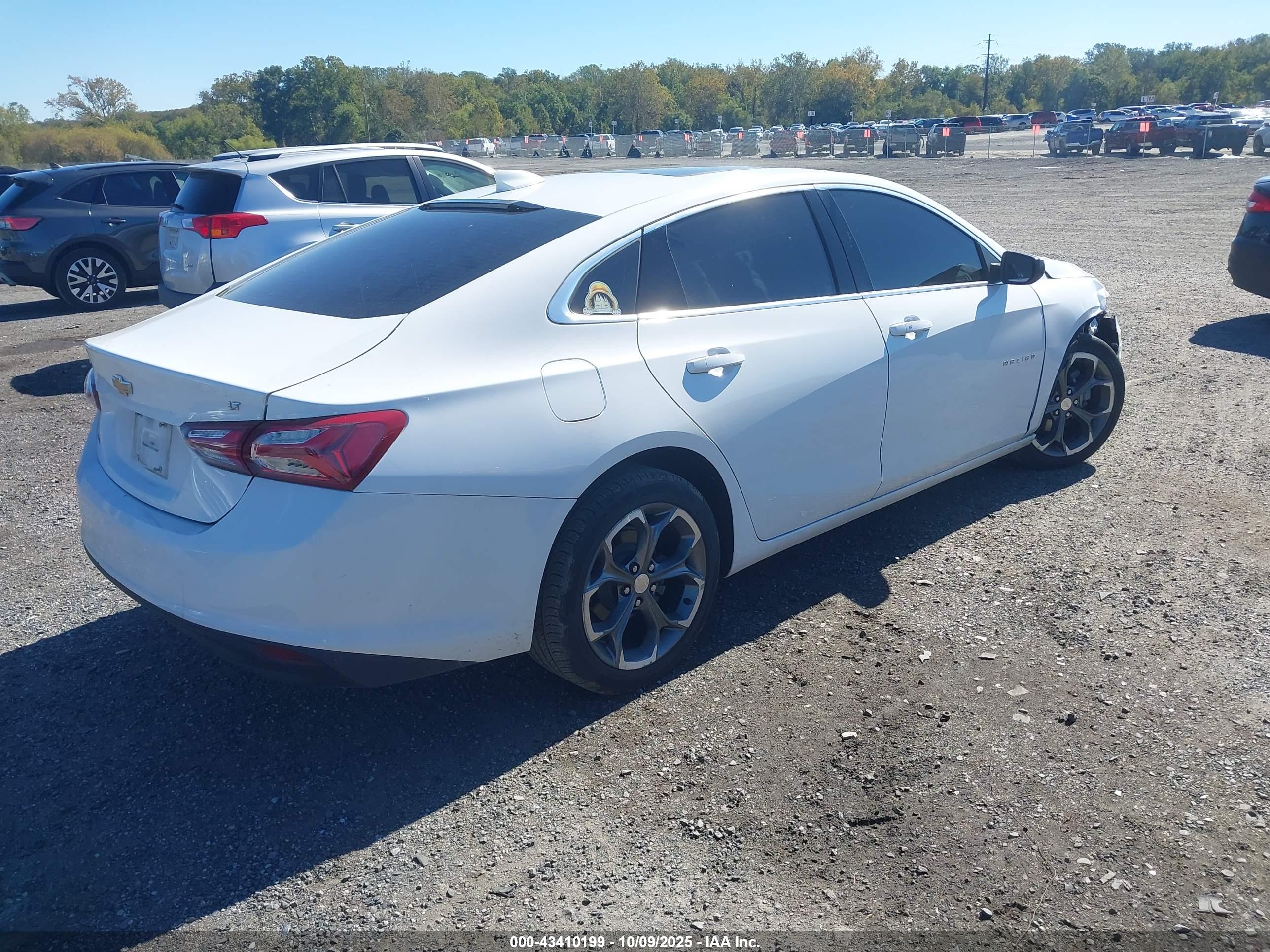 CHEVROLET MALIBU image 4