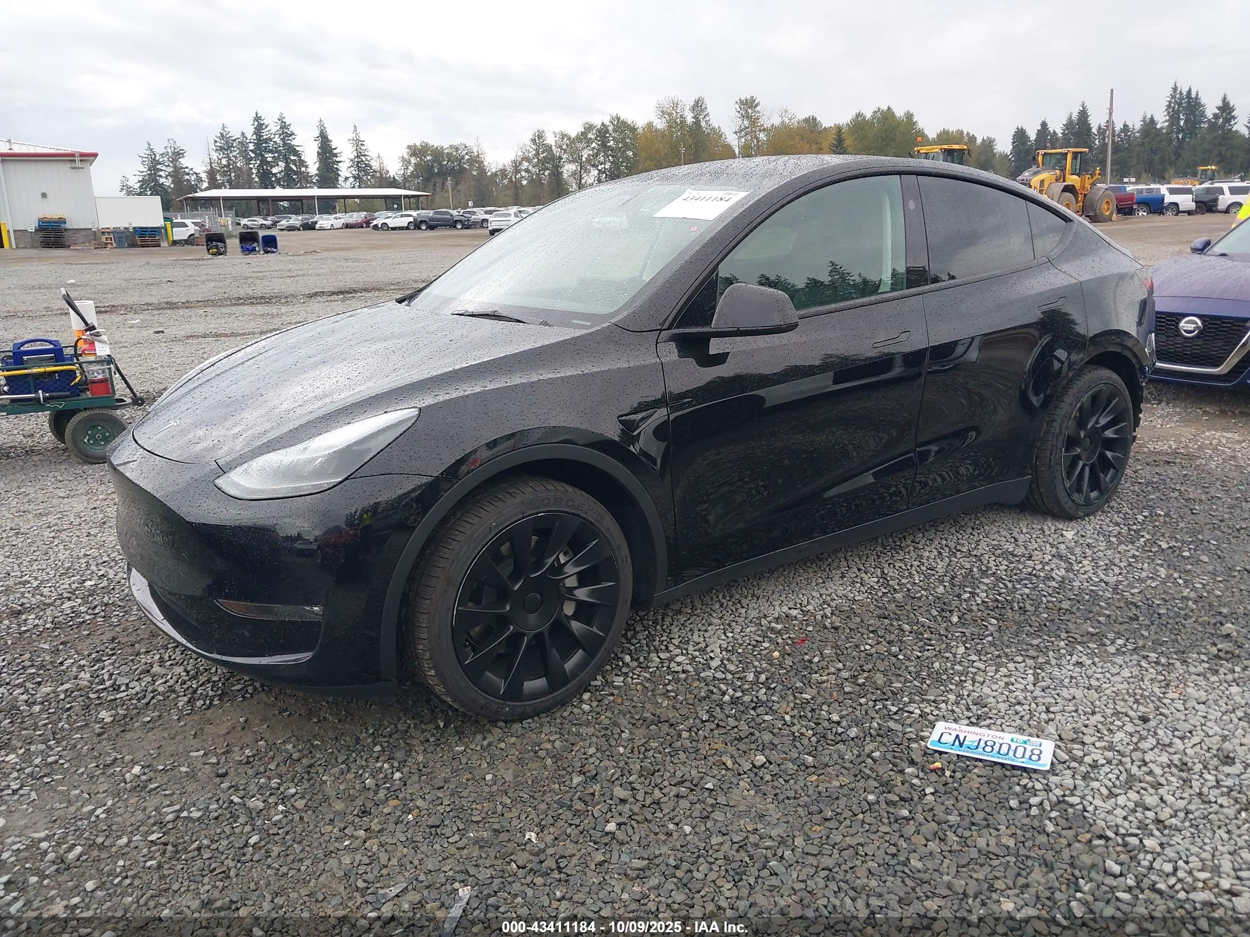TESLA MODEL image 2