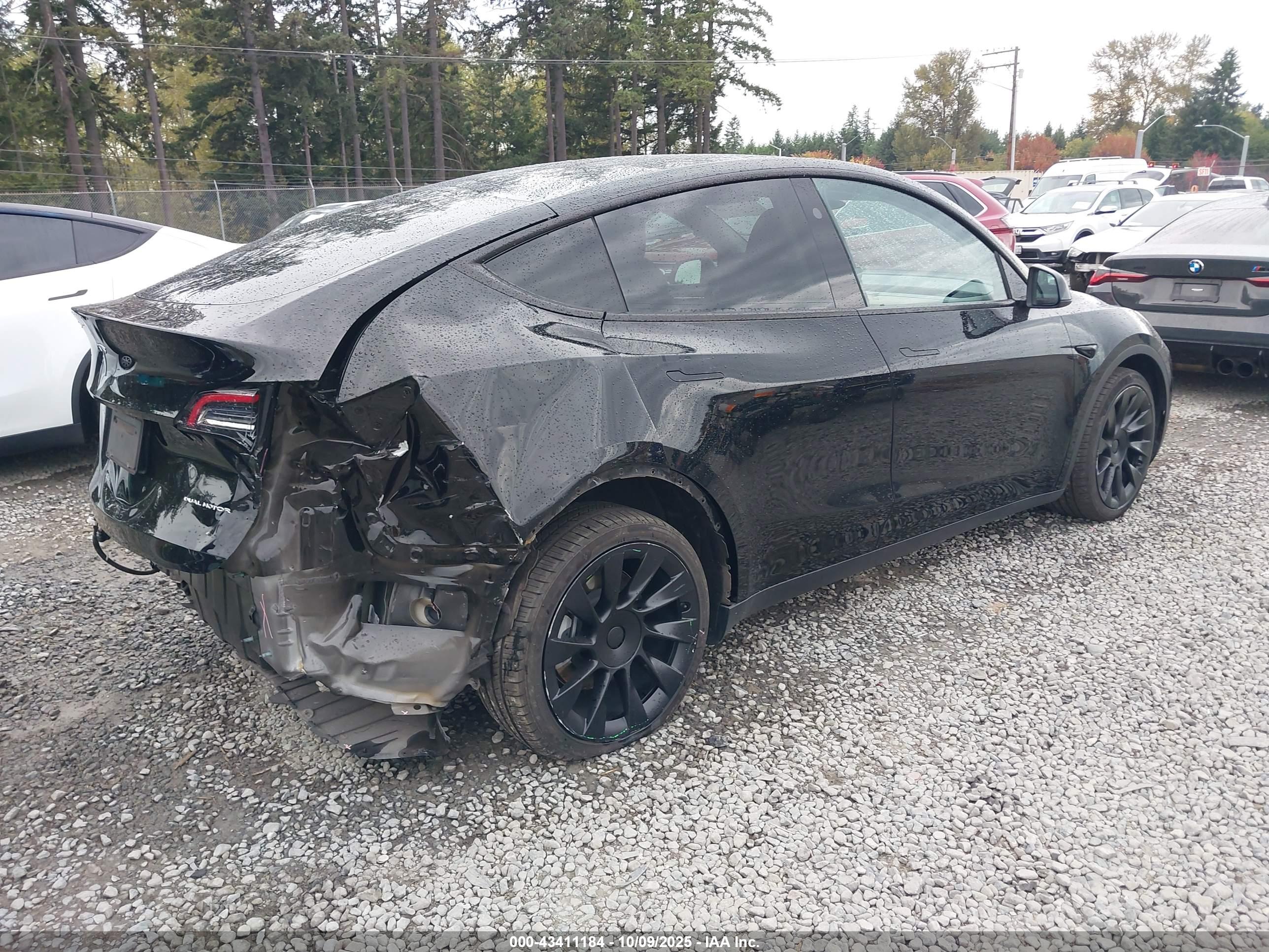TESLA MODEL image 4
