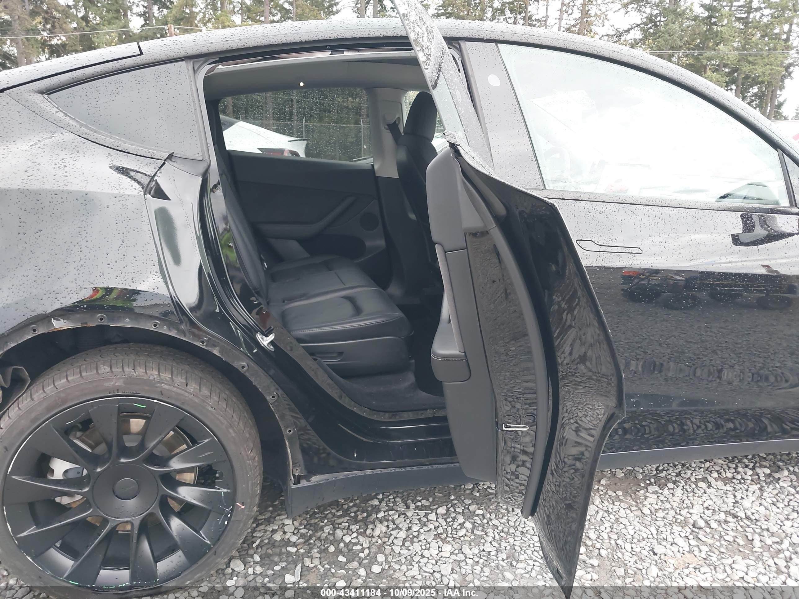TESLA MODEL image 8