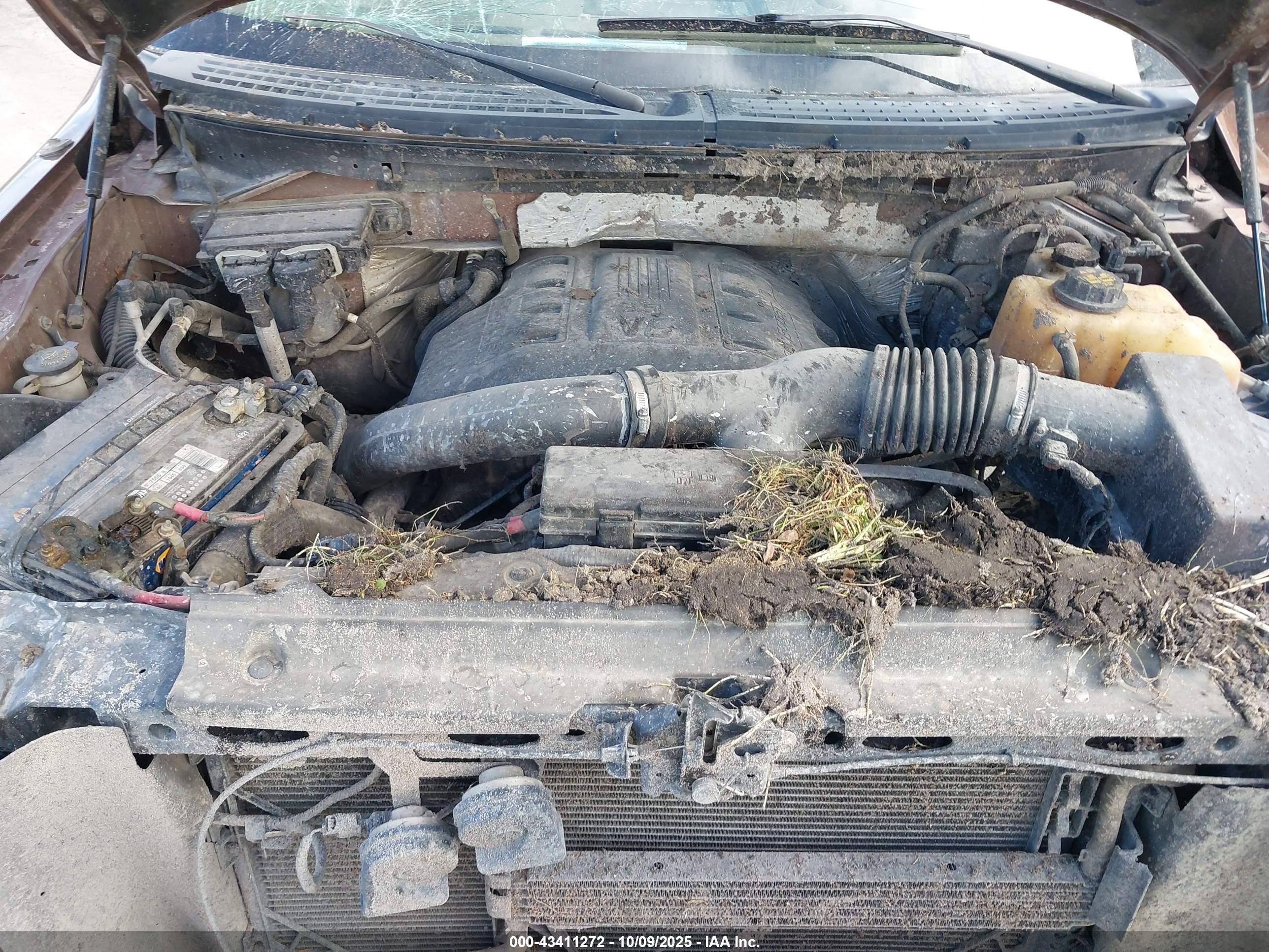 FORD F-150 image 10