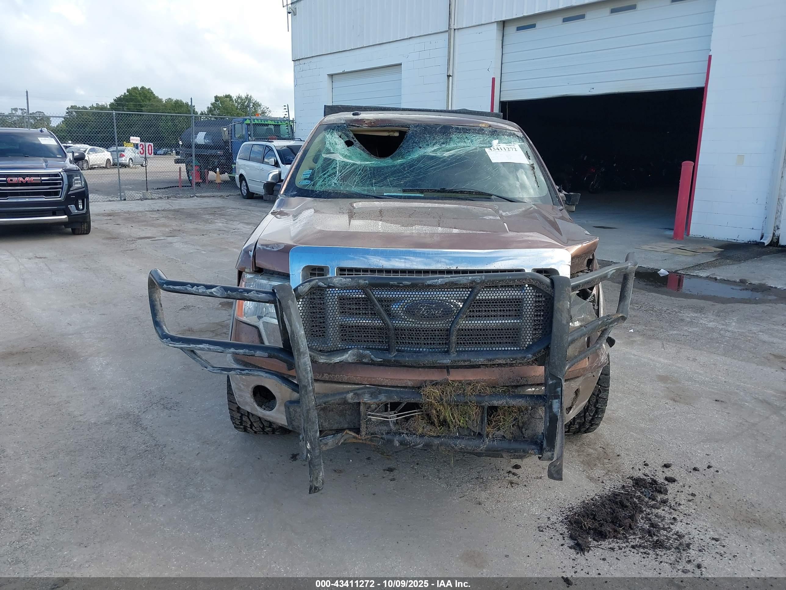 FORD F-150 image 6