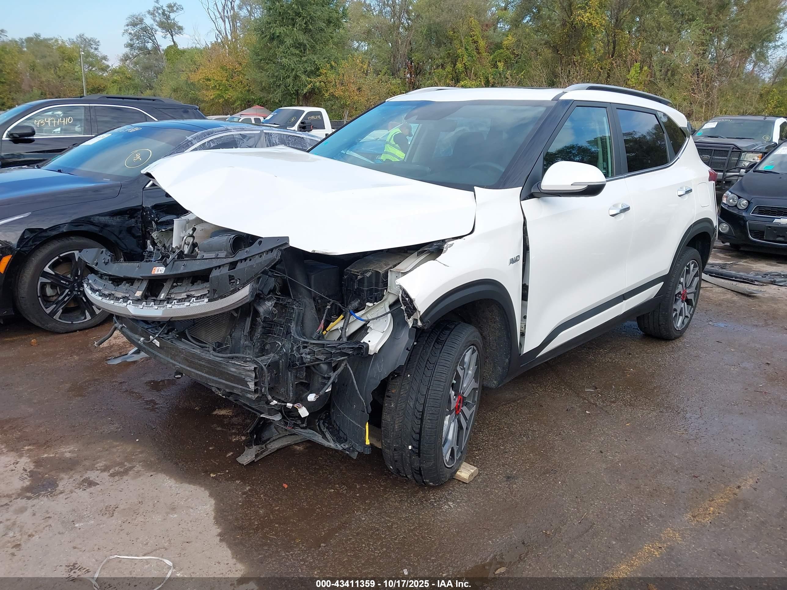 KIA SELTOS image 2