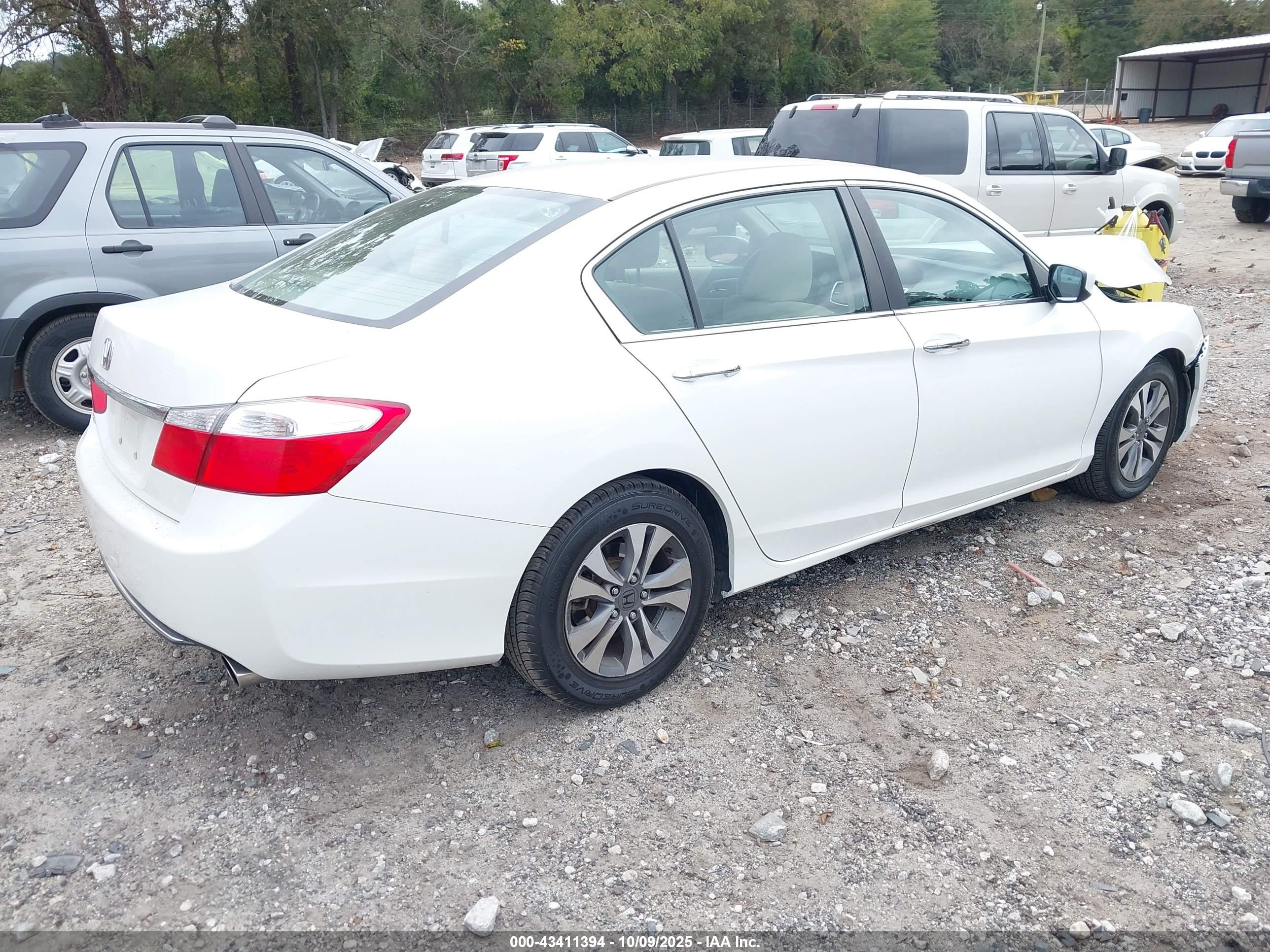 HONDA ACCORD image 4