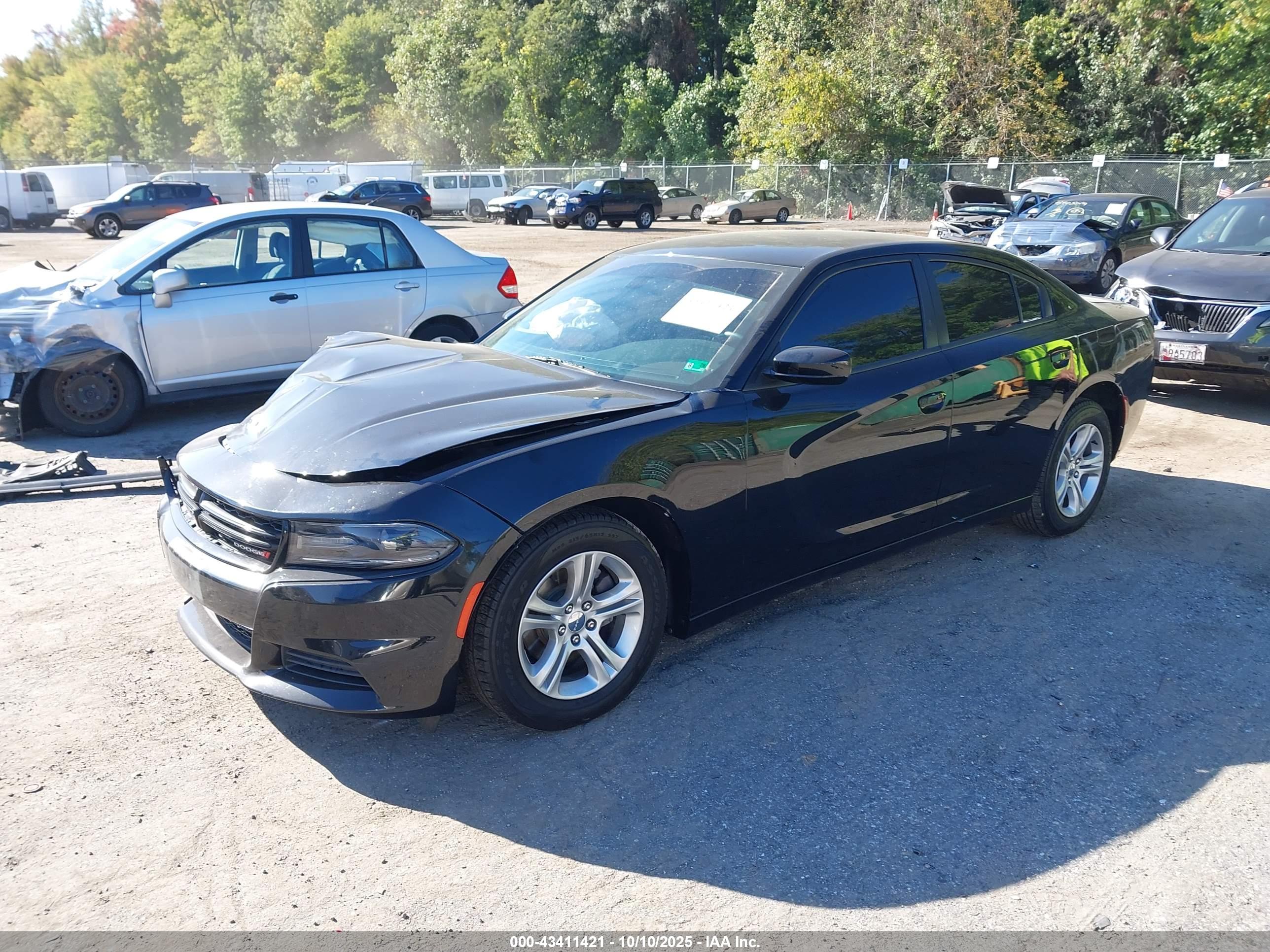 DODGE CHARGER image 2