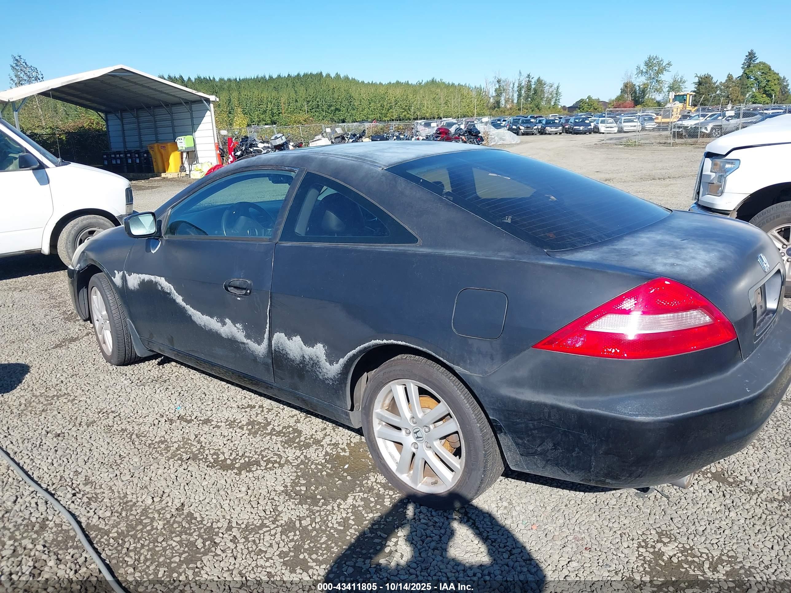 HONDA ACCORD image 3