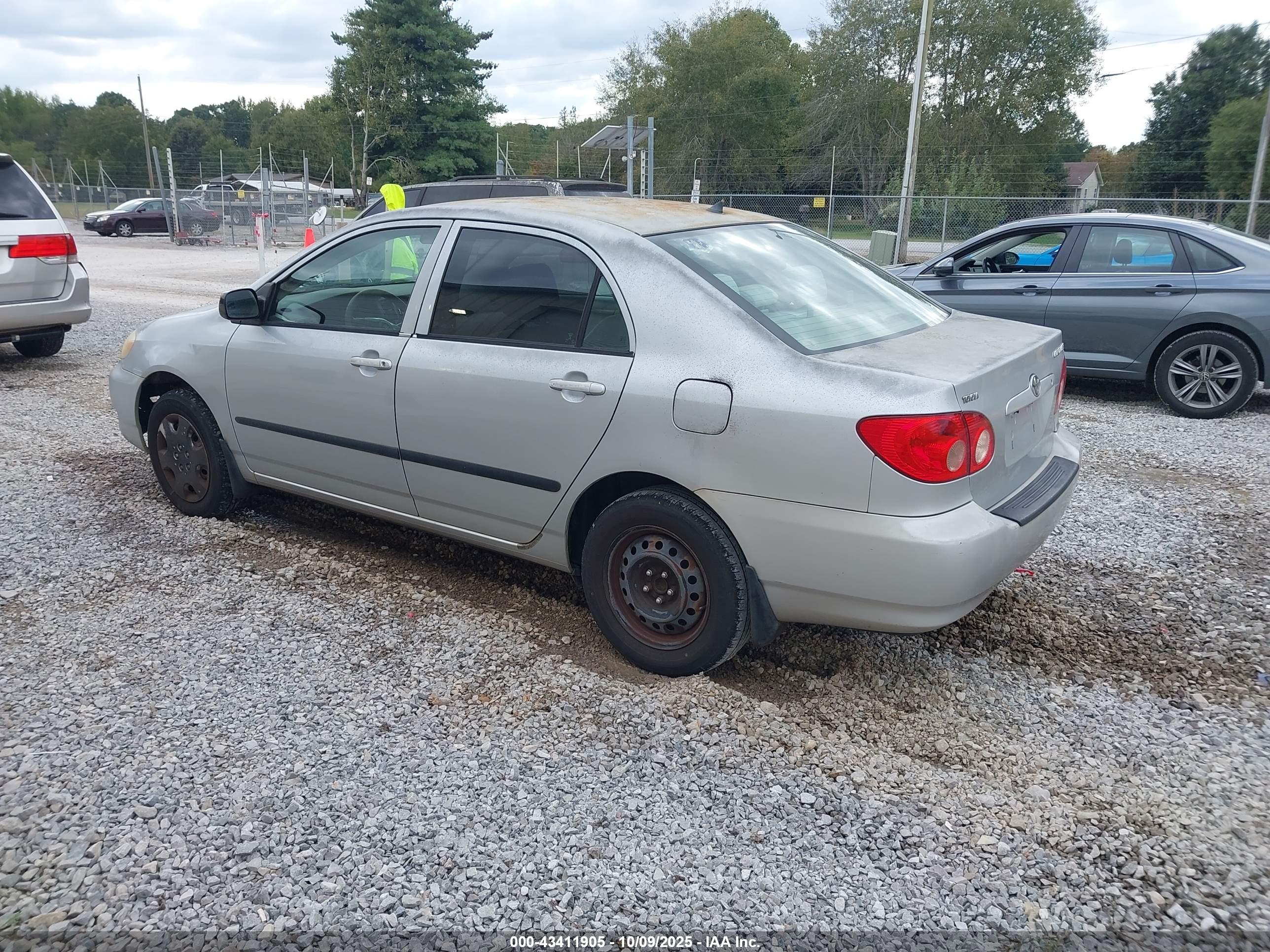 TOYOTA COROLLA image 3