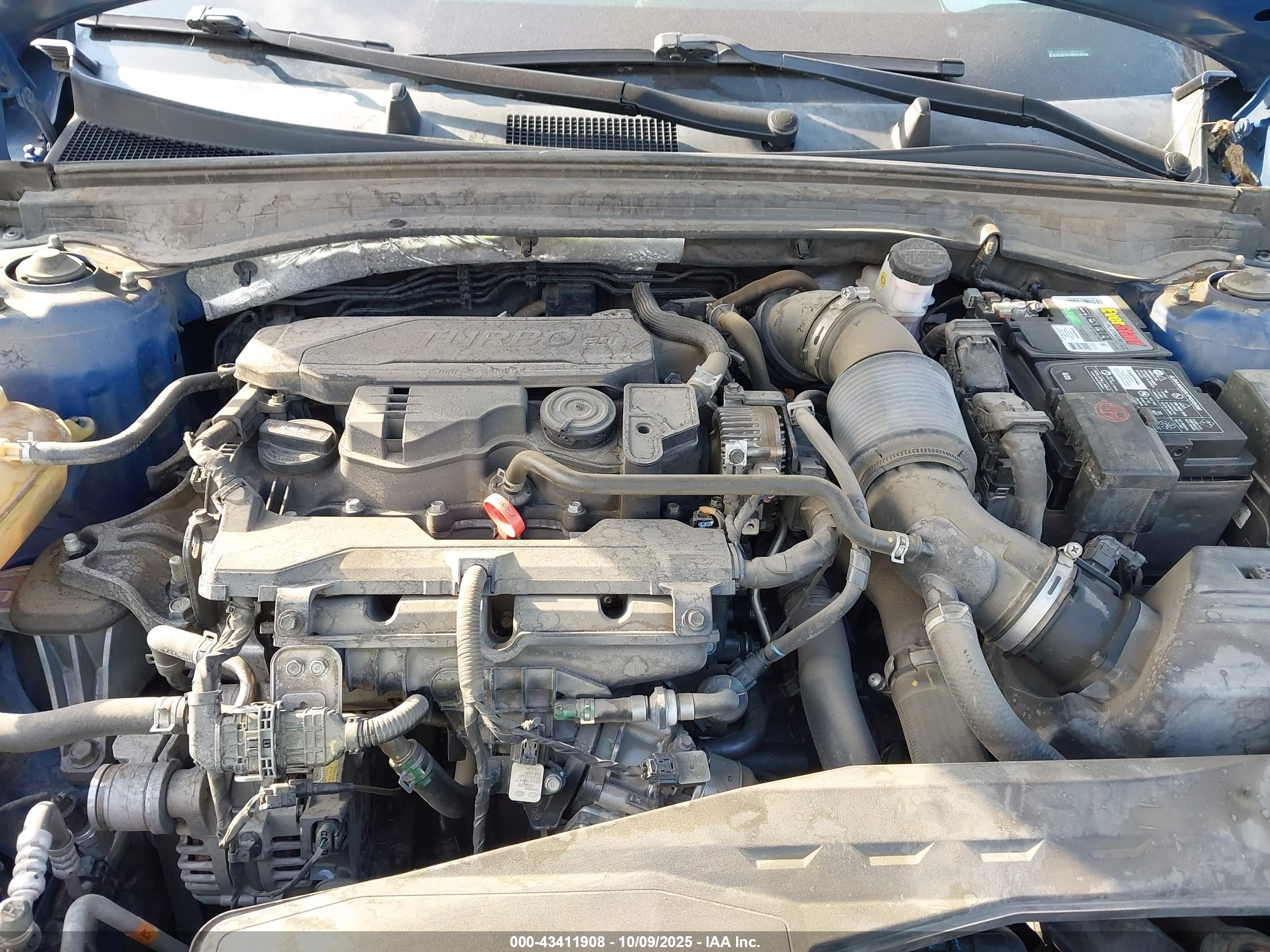 KIA K5 image 10